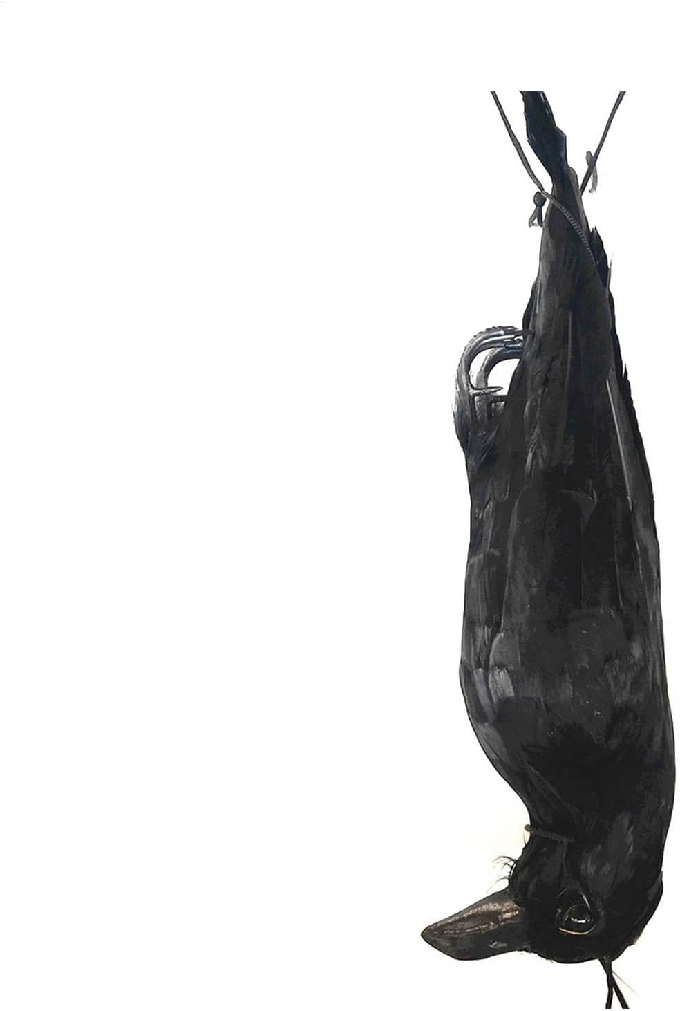 Hanging Dead Crow Bird Scarer,Crow Decoys,Rrealistic Crow Decor, Lifesize Black Feathered Crow Fake Black Crows for Garden Backyards Patios Doors Halloween Decorations