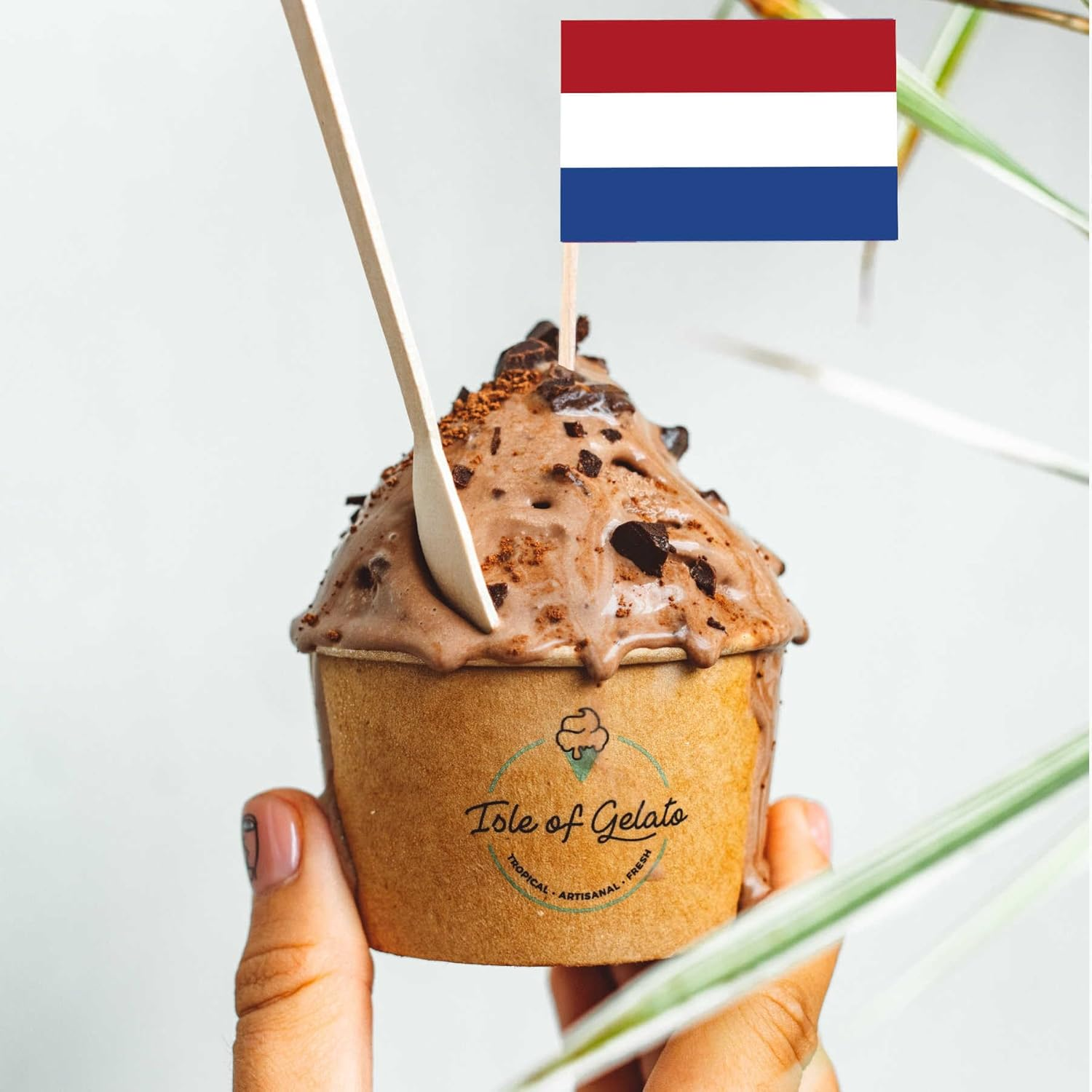 100 PCS Netherlands Flag Cake Topper,Holland Cupcake Stand for Party Decoration Supplies image number 2