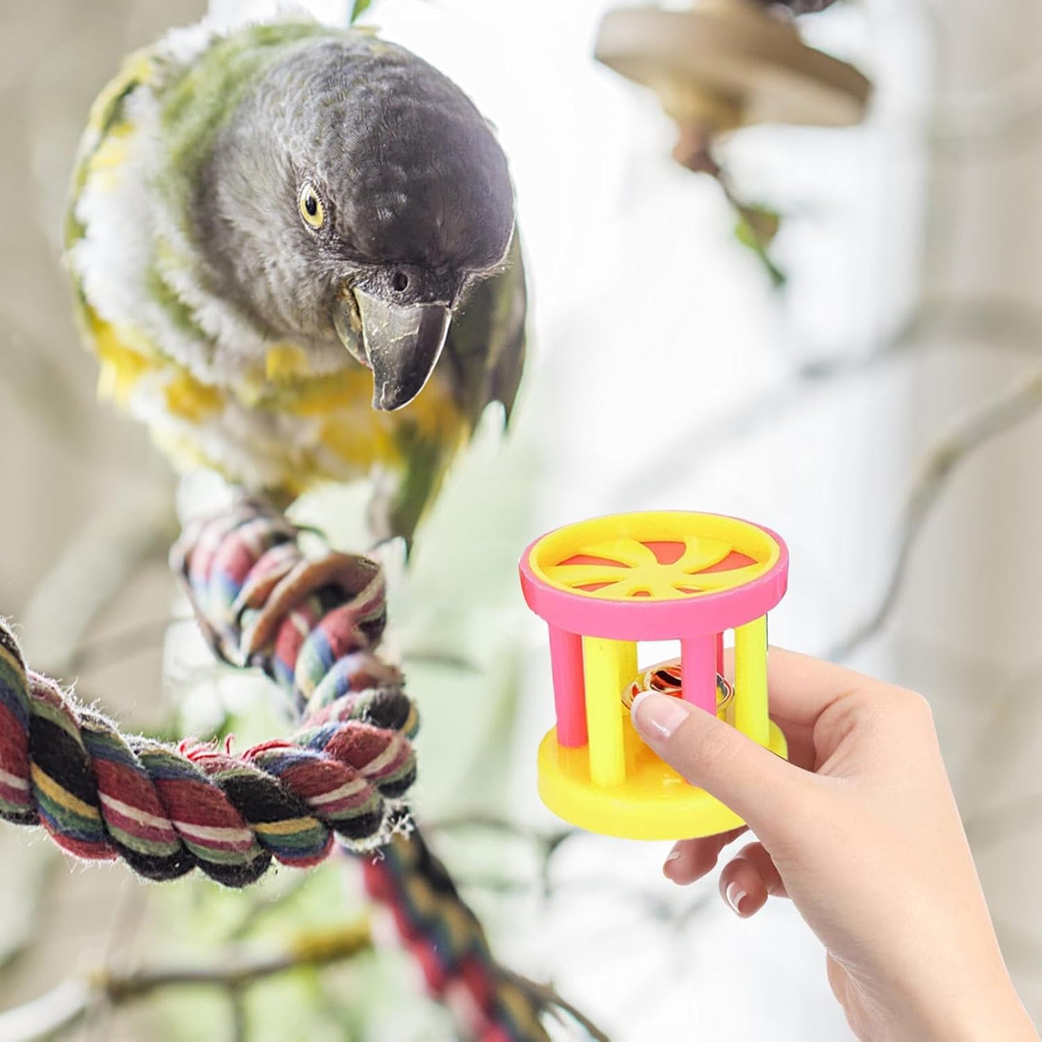 Rrlihjgu Toys for Birds,Bird Training Balls - Bite Resistant Hangable Chewing Ball Toys for Parrots, Budgies, Conures, Parakeets image number 2
