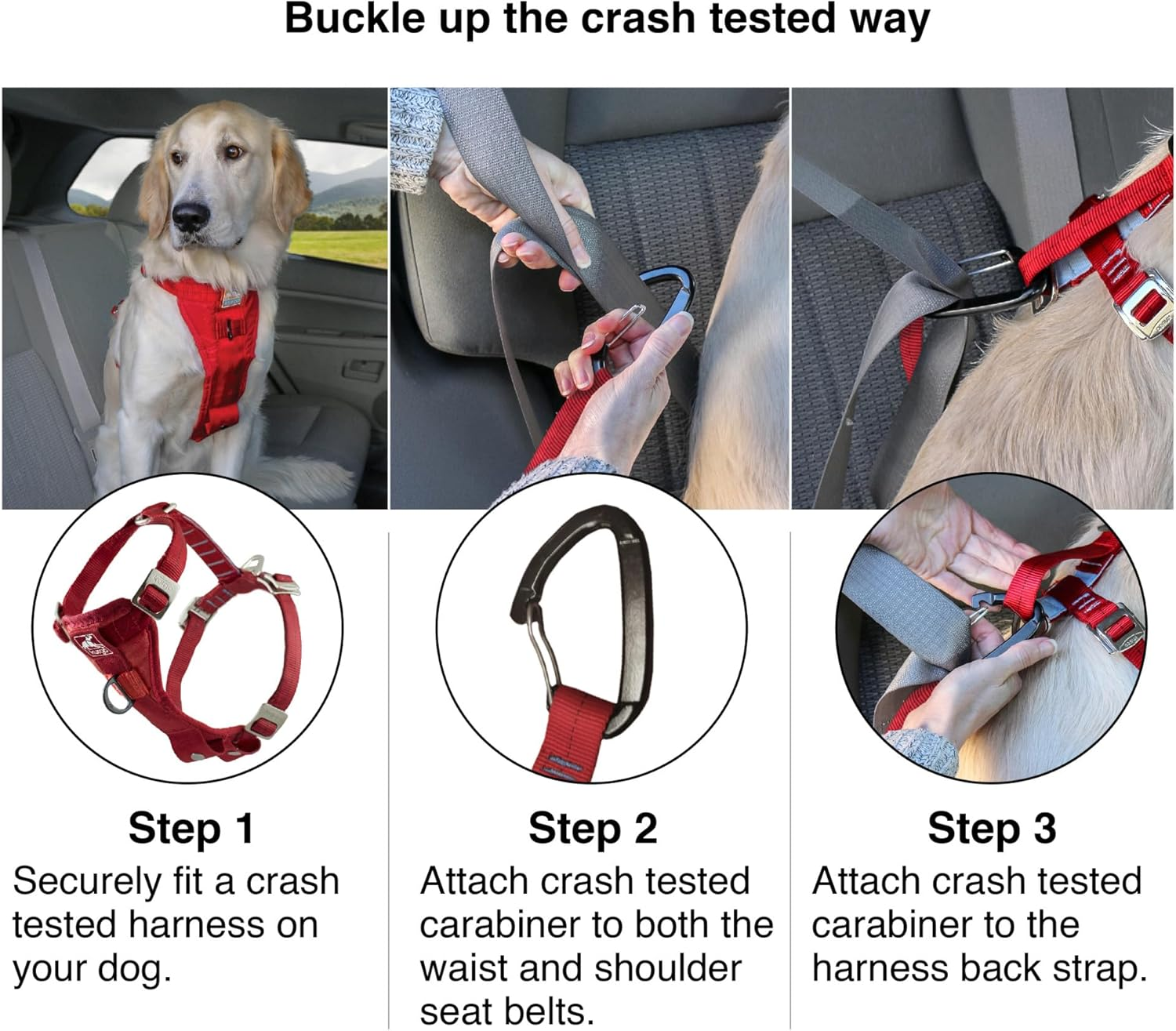Kurgo Enhanced Strength Tru-Fit Smart Dog Harness, Deep Violet, Small - Crash Tested Car Safety Harness for Dogs, No Pull Dog Harness, Includes Pet Safety Seat Belt Tether, Steel Nesting Buckles image number 5