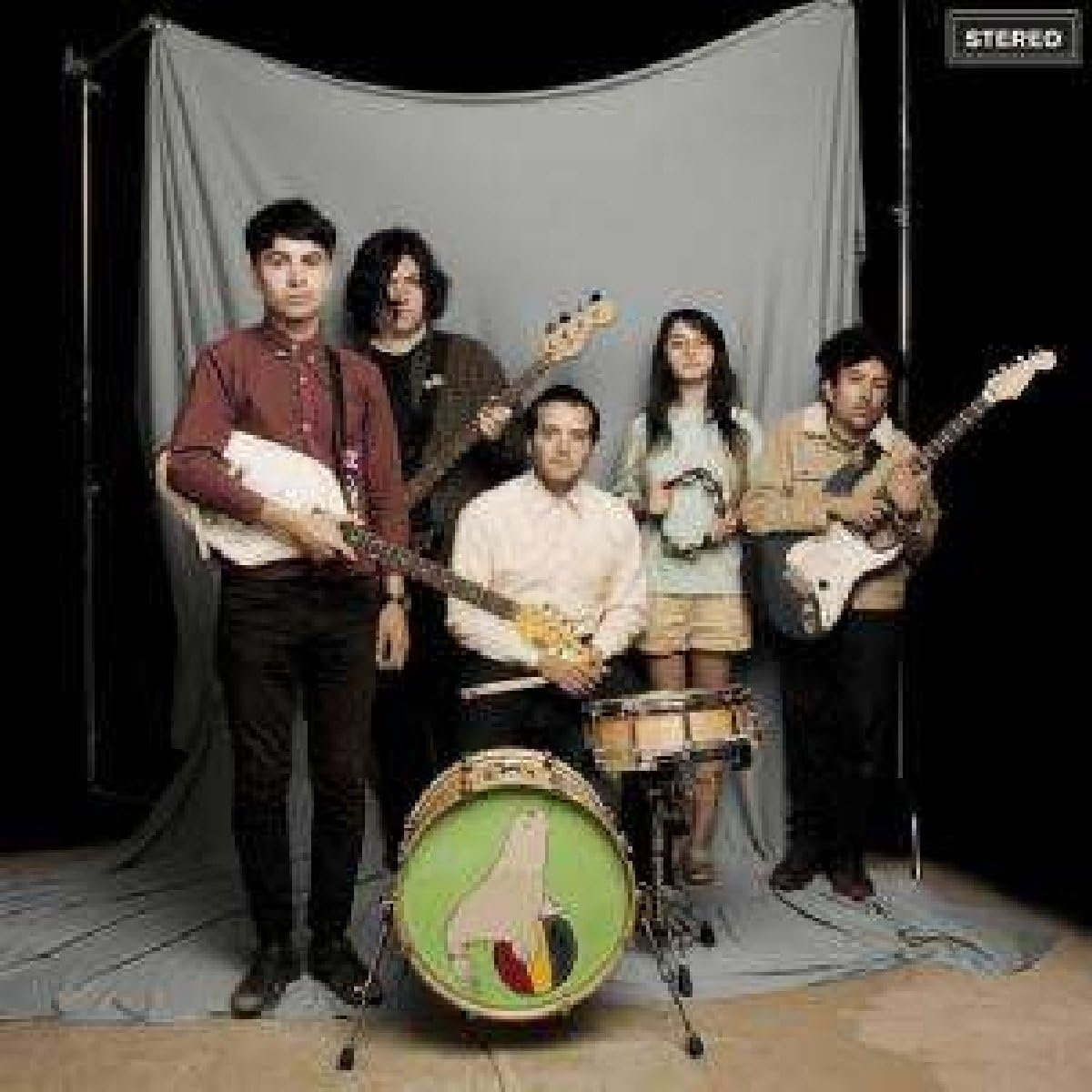 Everything You Always Wanted to Know about the Sea Lions but Were Afraid to Ask