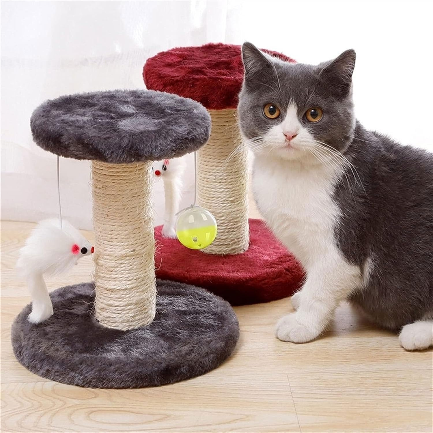 Cat Scratching Post with Plush Platform, Scratching Post with Sisal, Scratching Post, Cat Scratching Post, Suitable for Small Cats image number 1