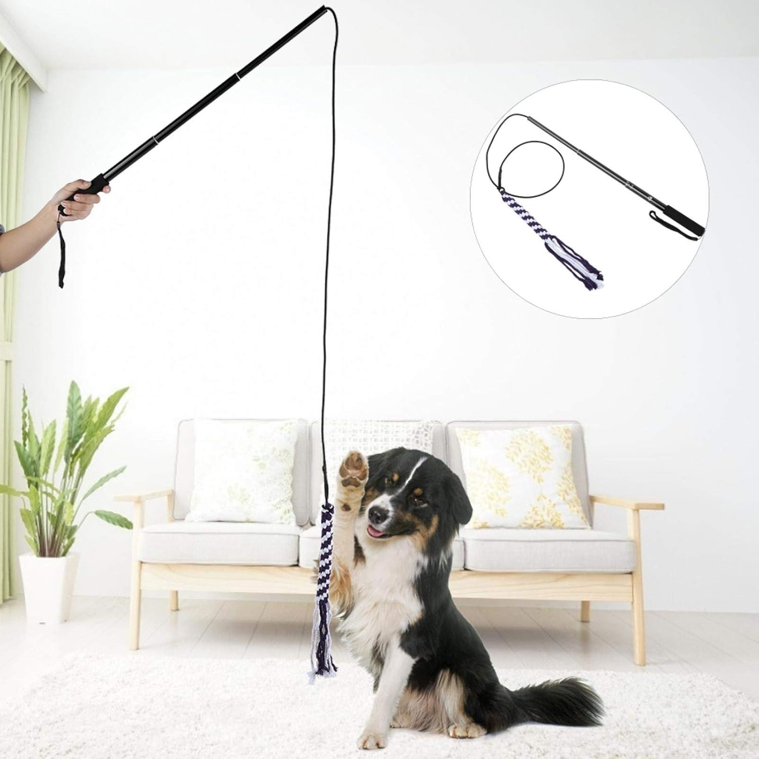 EVTSCAN Pets Dog Cat Toys, Retractable Stick Cat Teaser, Training Play Wand Pet Get More Exercise Outdoor Playing Chasing Chewing(L-黑色)