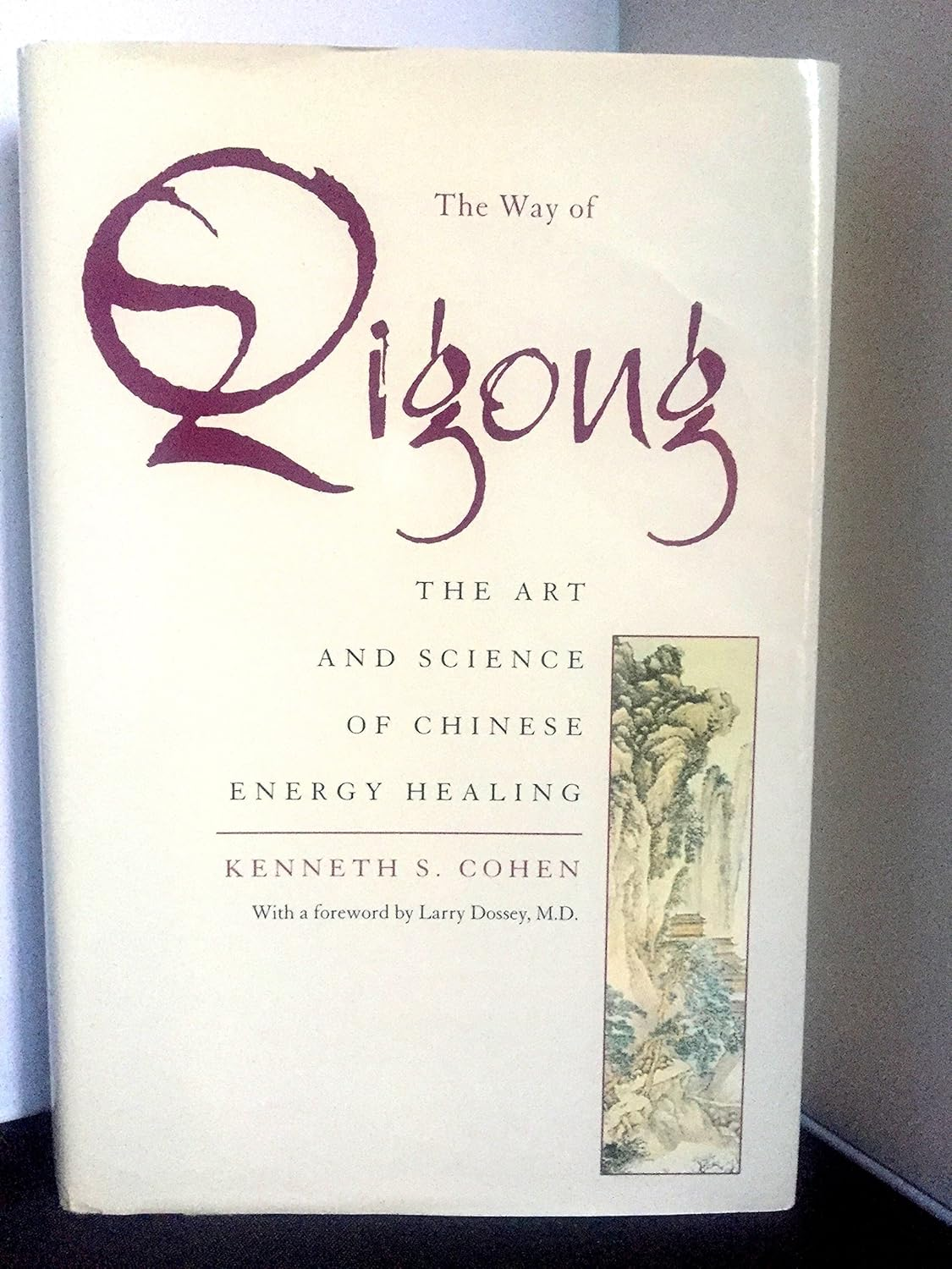 The Way of Qigong: the Art and Science of Chinese Energy Healing