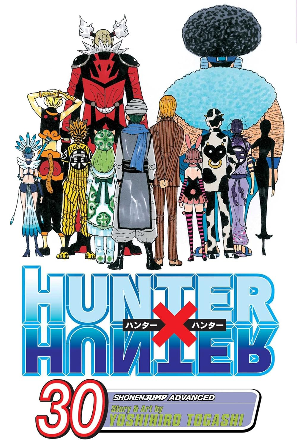 Hunter X Hunter, Vol. 30 (Volume 30): Answer