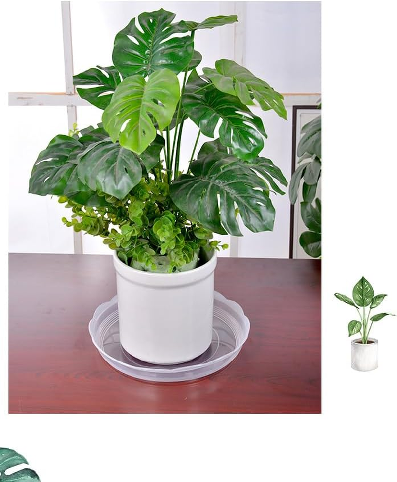 10 Pieces of Clear Plastic Plant Saucer Drip Trays for Pots (14Cm) image number 4