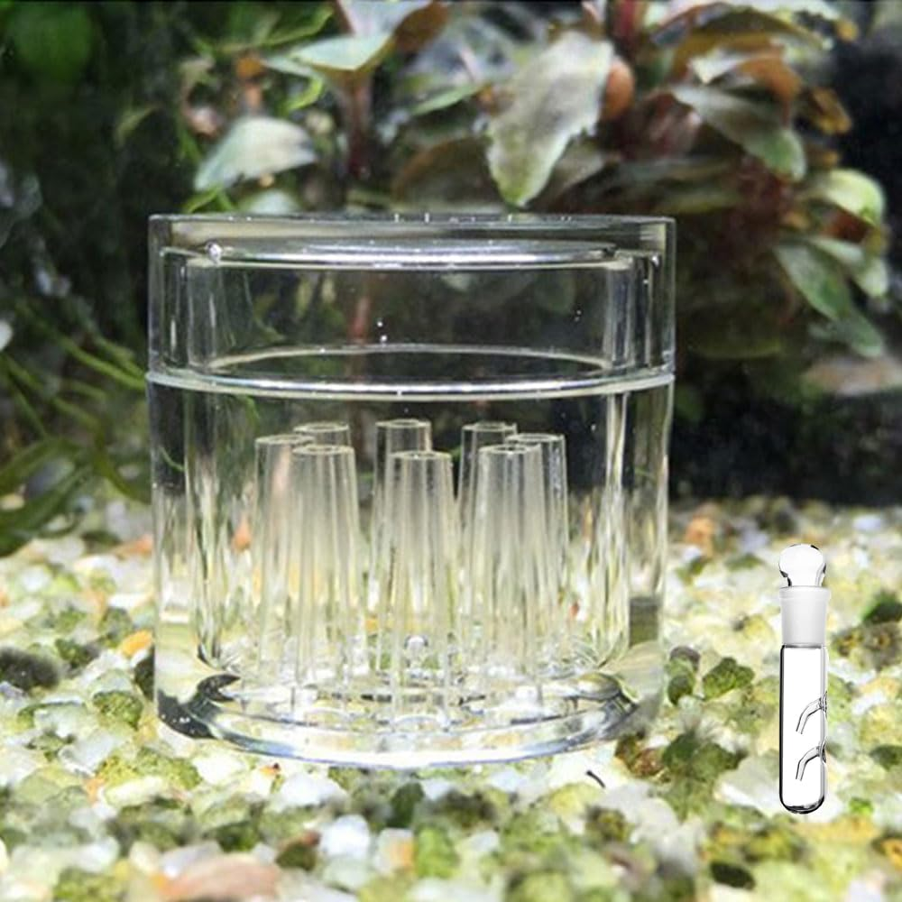 WEZCHUGHAOL Planaria Trap for Aquarium - 3Pcs Glass Leech & Bristle Worm Catcher, Shrimp Tank Cleaner with Dual Entrance Design, Safe Flatworm/Planaria Remover for Freshwater Fish Tank Accessories image number 4