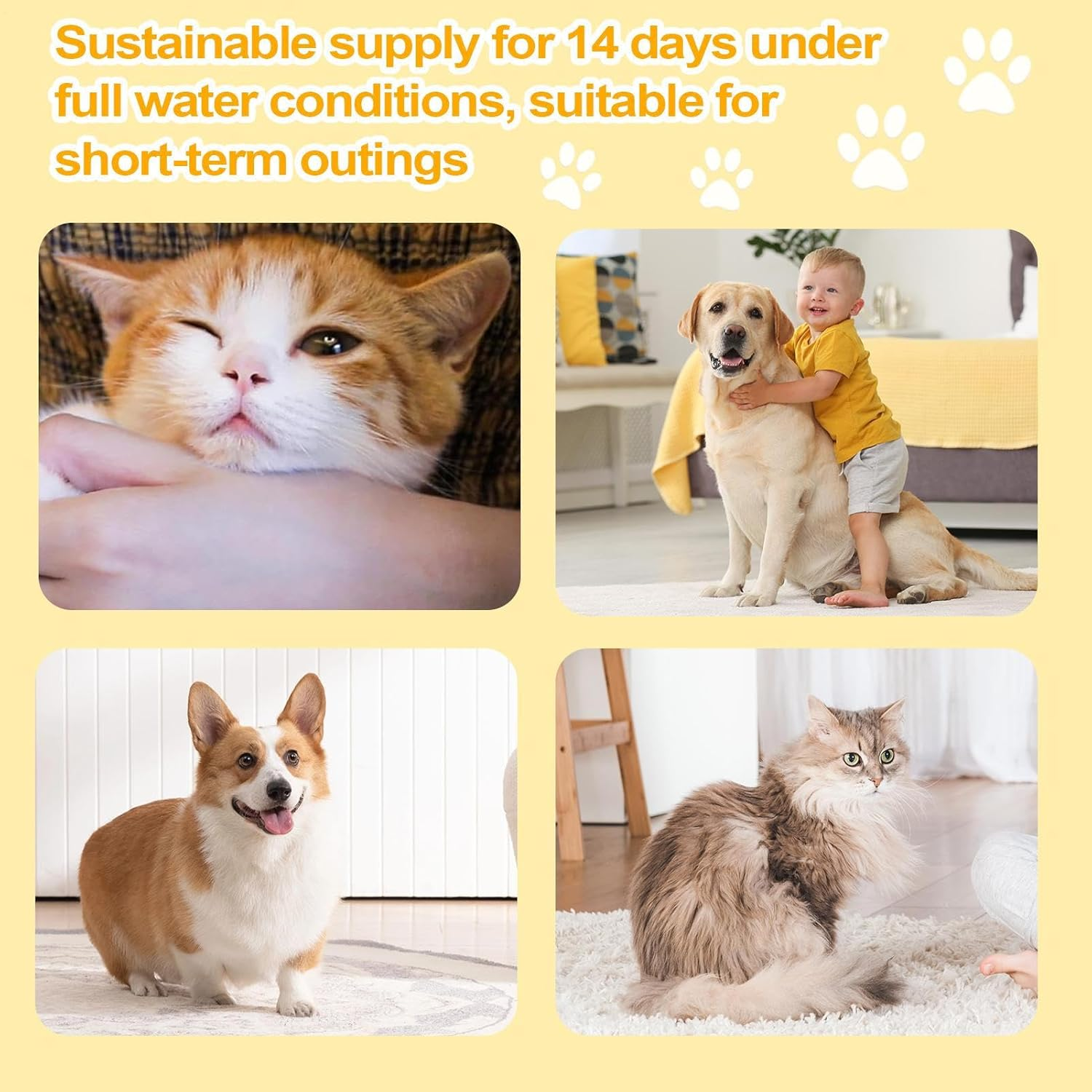 Huayeex Pet Drinking Fountain - Cat Running Water Dispenser Fountain with Filter - Quiet Multiple Pets Dog Waterer Drinking Bowl for Indoor Home Short Trip Travel Outing image number 6