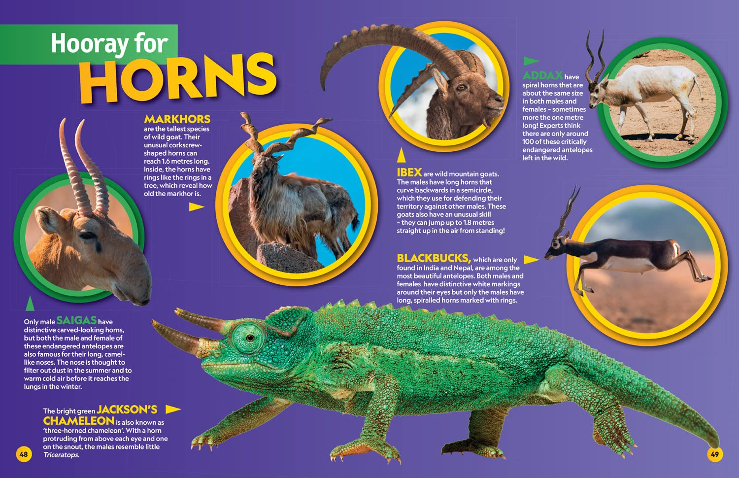 National Geographic Kids - Weird but True! 2023: Wild and Wacky Facts & Photos! image number 1