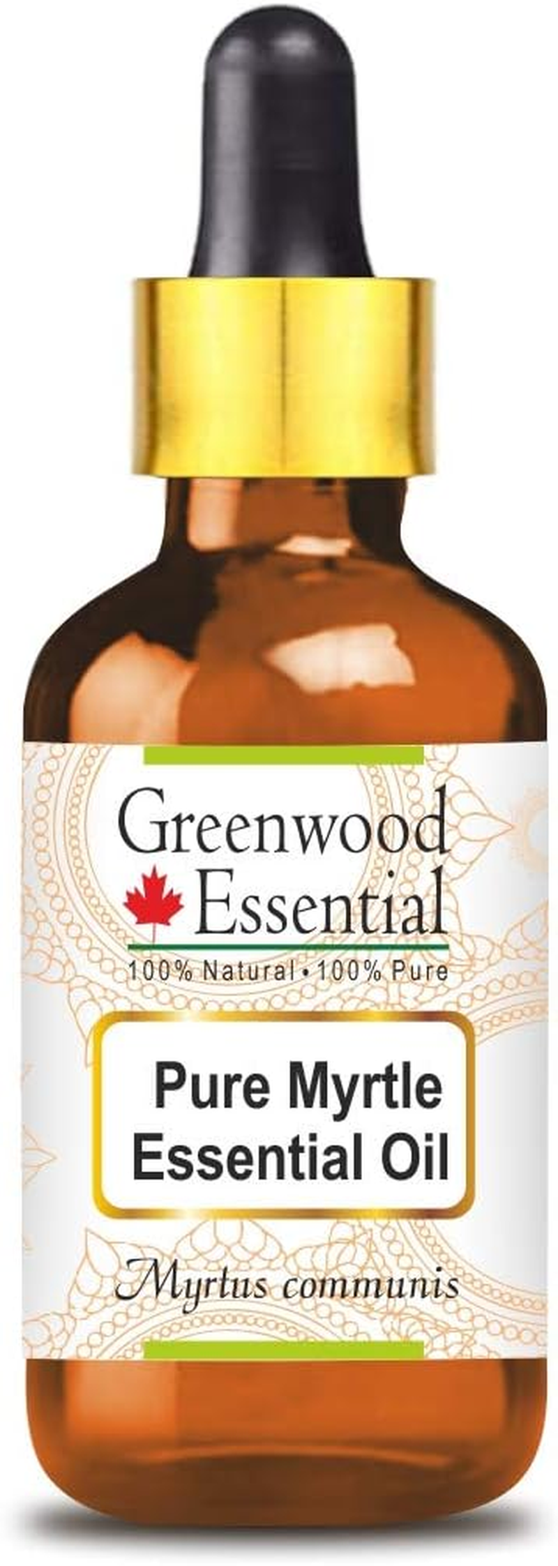 Greenwood Essential Pure Myrtle Essential Oil (Myrtus Communis) with Glass Dropper Steam Distilled for Personal Care 50Ml (1.69Oz) image number 4
