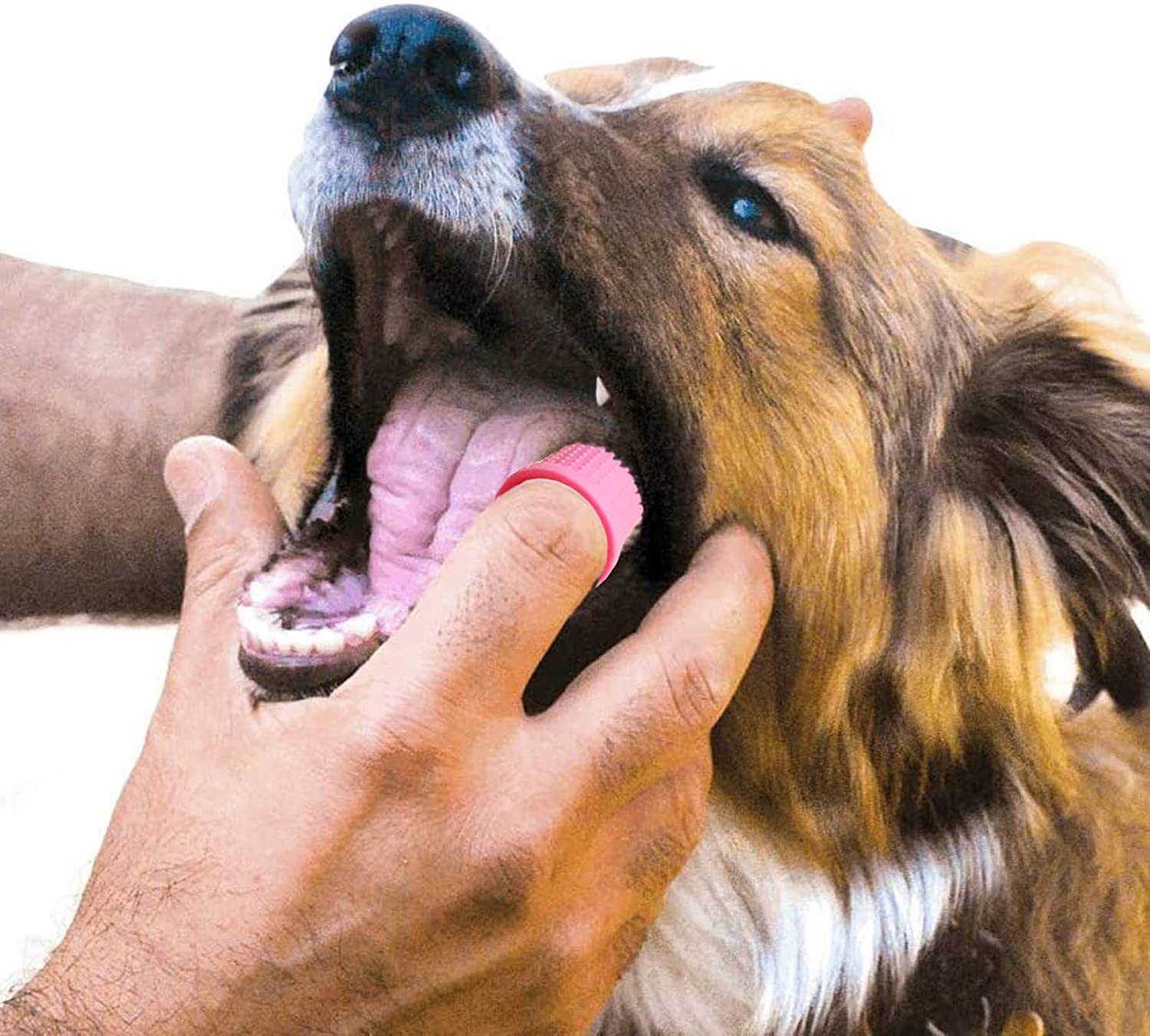 Dog Toothbrush 4Pcs, 360&deg; Dog Finger Toothbrush Silicone Teeth Cleaning Brushes for Cat Dog Pet Dental Care image number 3