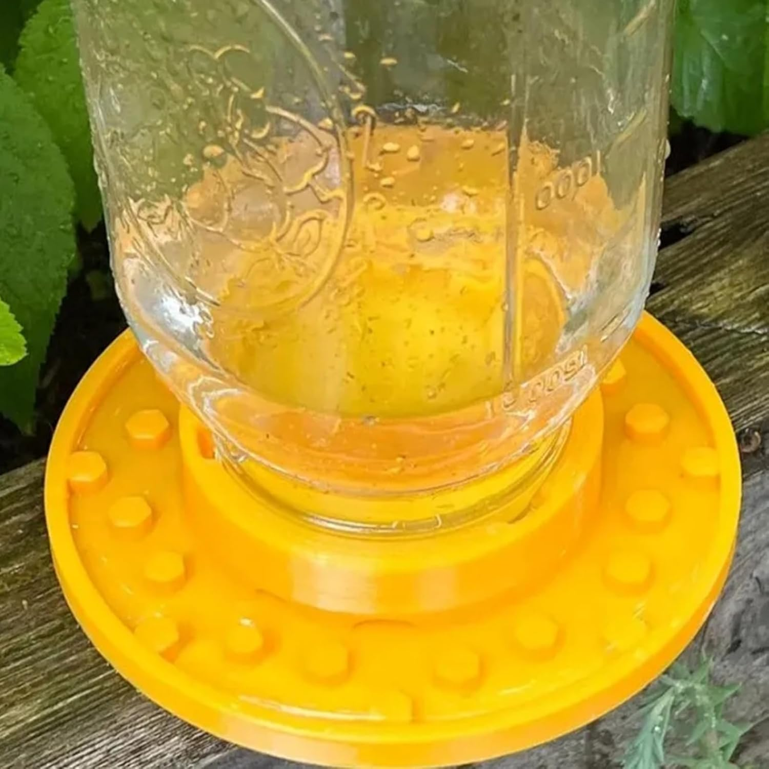 Jar Bee Feeder ? Hive Entrance Watering Cup for Thirsty Pollinators | Reusable Sugar Water Station for Honeybee Hydration, Outdoor Beekeeping Equipment for Backyard Garden Apiaries image number 2