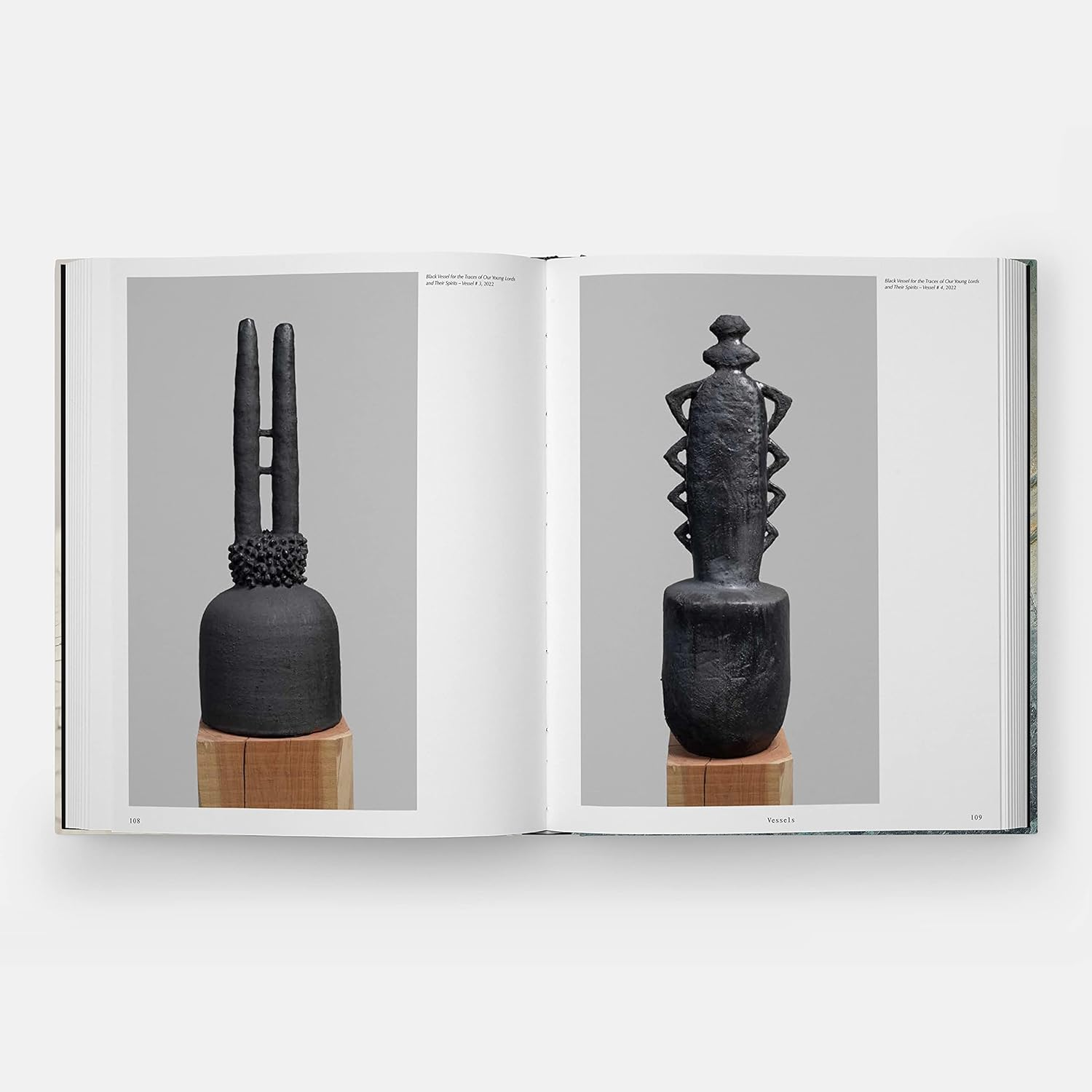 Theaster Gates: Young Lords and Their Traces (New Museum) image number 4