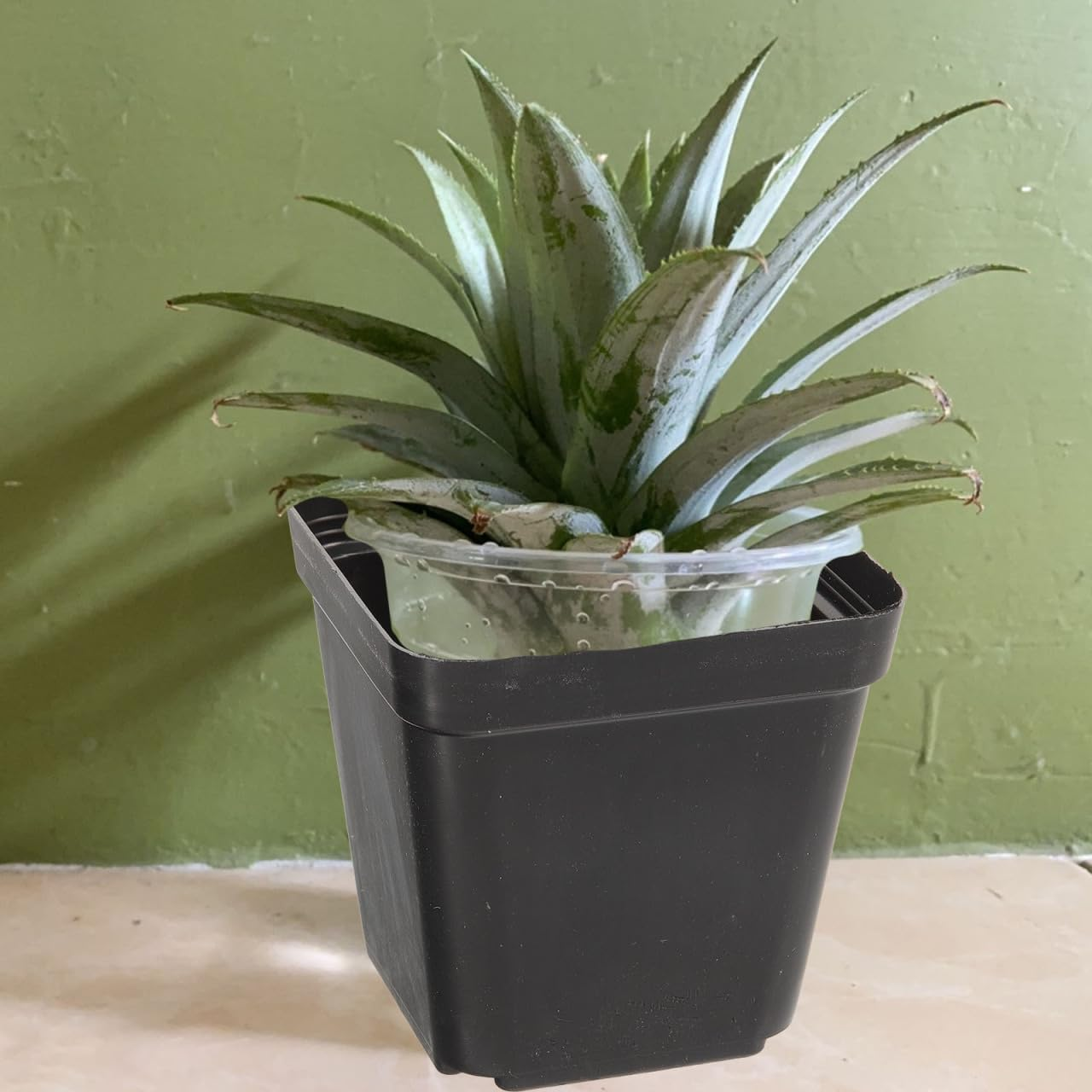 Balacoo 120 Pcs Square Seedling Nursery Pots, Plastic Flower Pots with Drainage Hole, 2.75 Inch Lightweight Garden Seedling Nursery Planters for Succulent, Flower, Herb, Hydroponic Plants (Black) image number 6