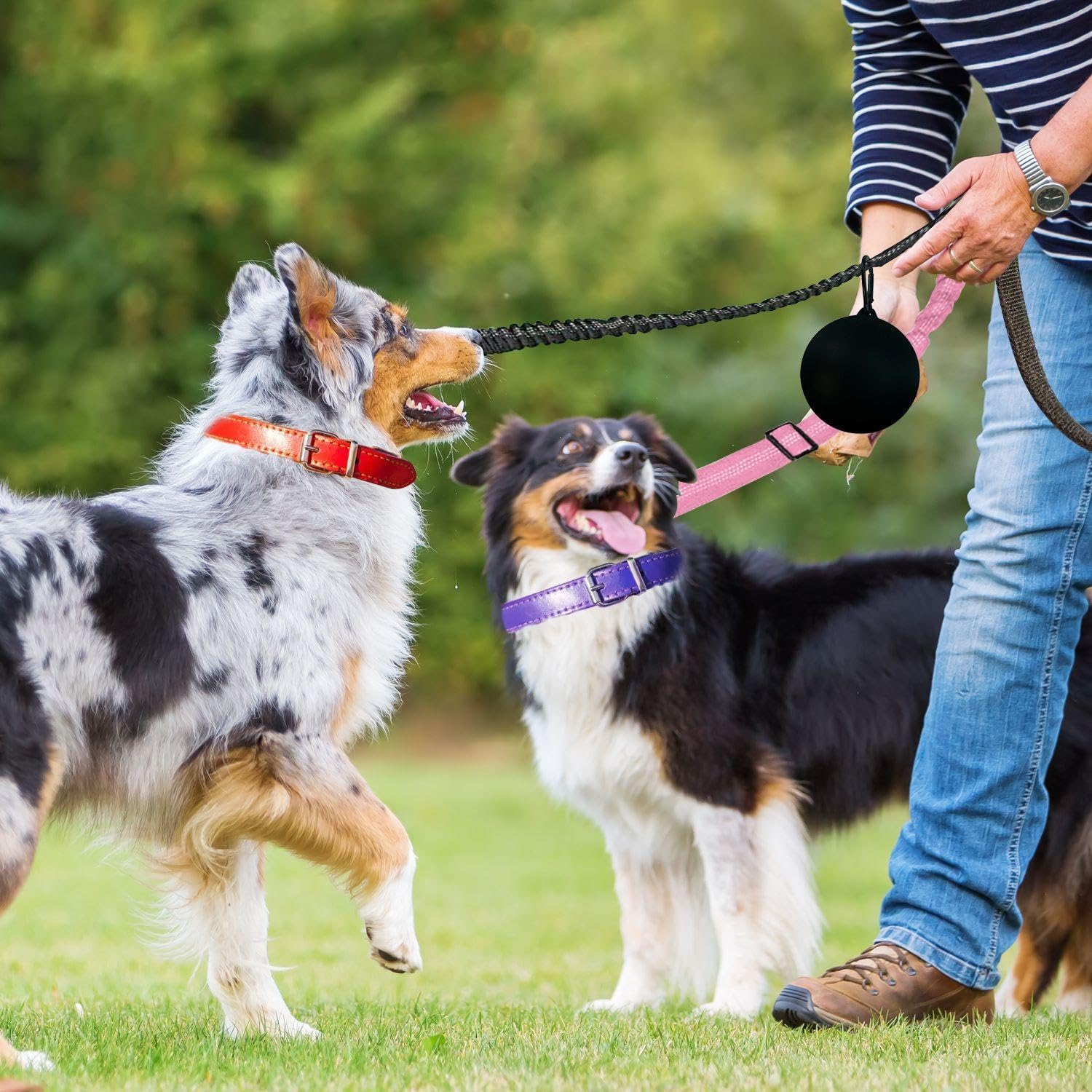 JDNFKG 2 X Double-Headed Dog Dogs and 1 Piece Snack Bag, Outdoor Pet, Adjustable Lead, Training Lead. image number 3
