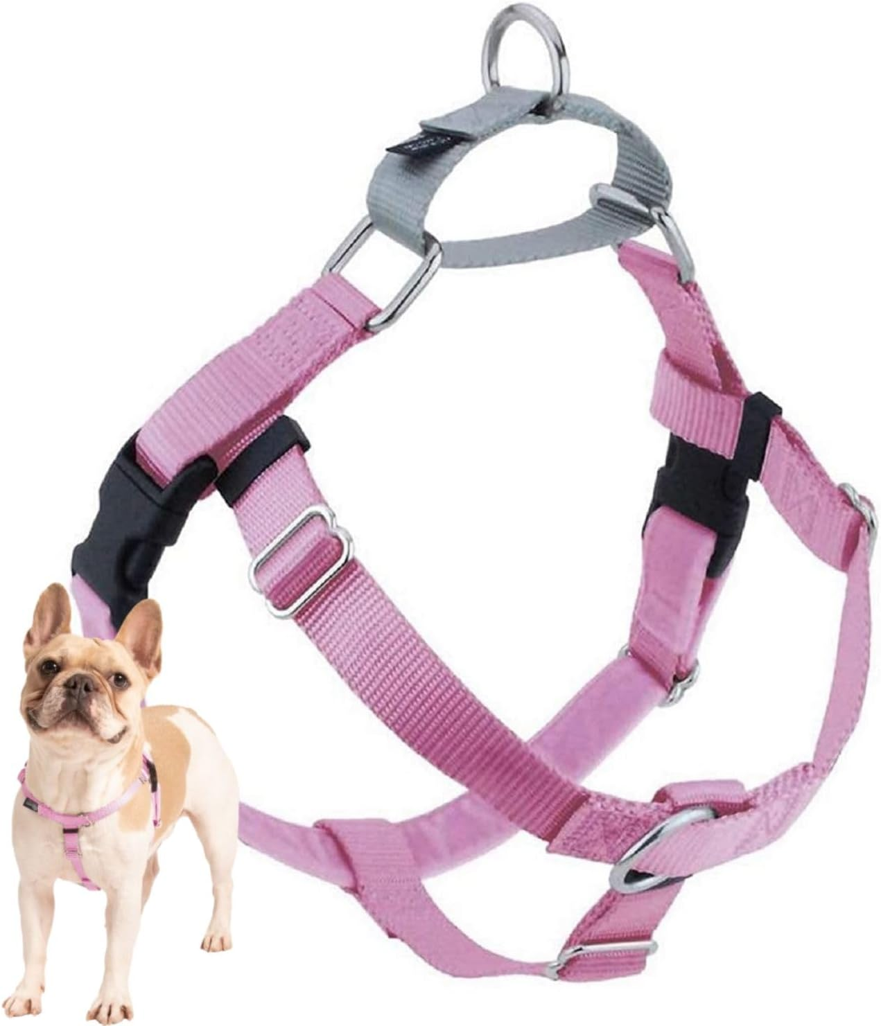 2 Hounds Design Freedom No-Pull Dog Harness, Adjustable Comfortable Control for Dog Walking, Made in USA (Leash Sold Separately) (Small 5/8") (Hot Pink)