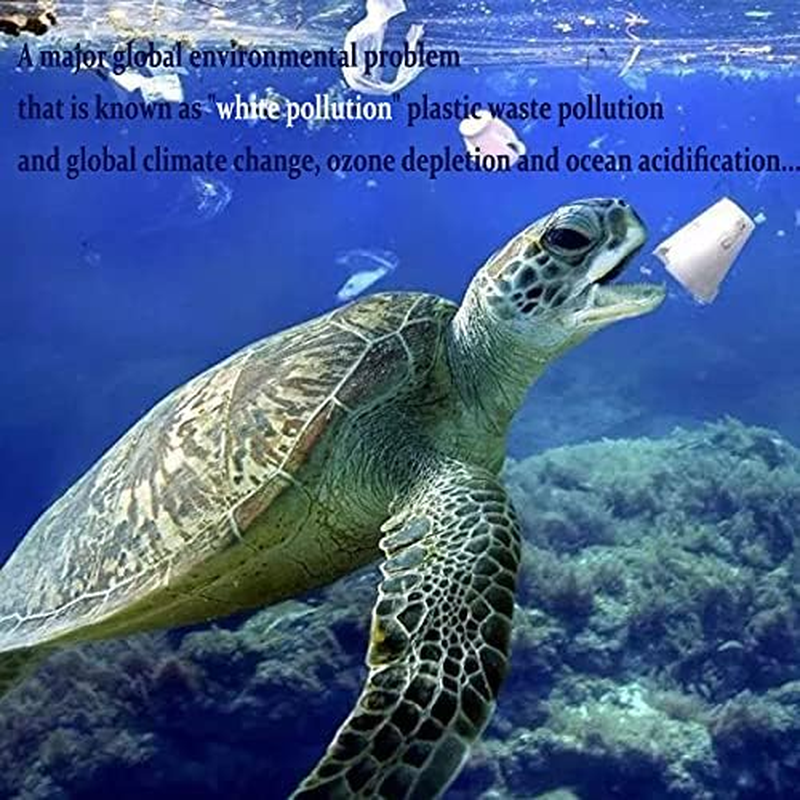 10X13 Inches 100% Biodegradable D2W Poly Mailers with Handle, 50Pcs Mint Compostable Envelopes Shipping Bags, Eco Friendly Waterproof Stretchable Self Sealing Mailing Bags image number 5