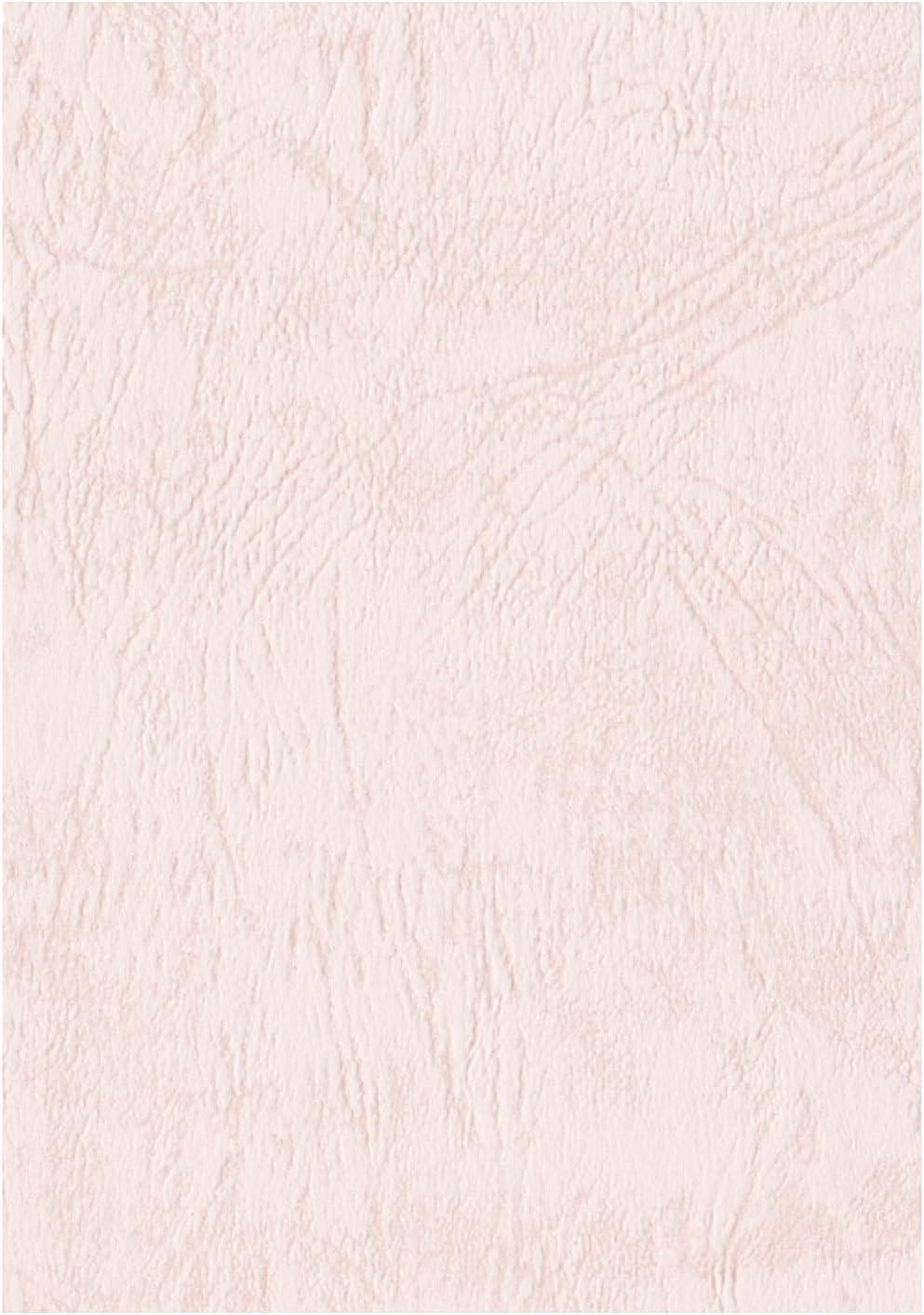 Eskent 1431138 Colored Drawing Paper, Lesac 66, 38.5 Lbs (175 Kg), 8 Pieces of Sakura, 100 Sheets