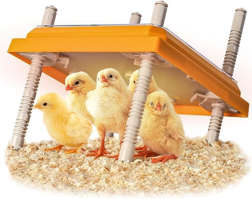Brooder Heater for Chicks, 25 * 25Cm for 15 Chicks Heating Plate with Adjustable Height and Angle 15W Chicken Brooder Warm like Mother Hen (Black)
