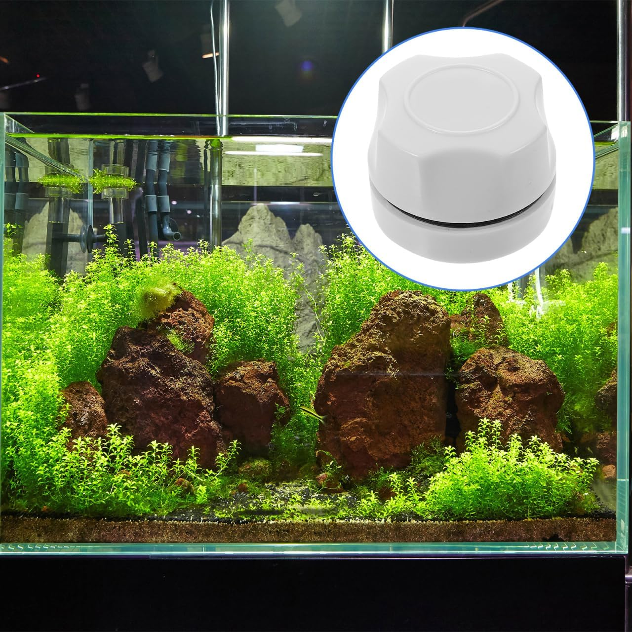 POPETPOP Mini Magnetic Fish Tank Brush Magnetic Aquarium Glass Cleaner Algae Scrapers Magnetic Brush Small Glass Tank Cleaner for Aquarium Fish Tank