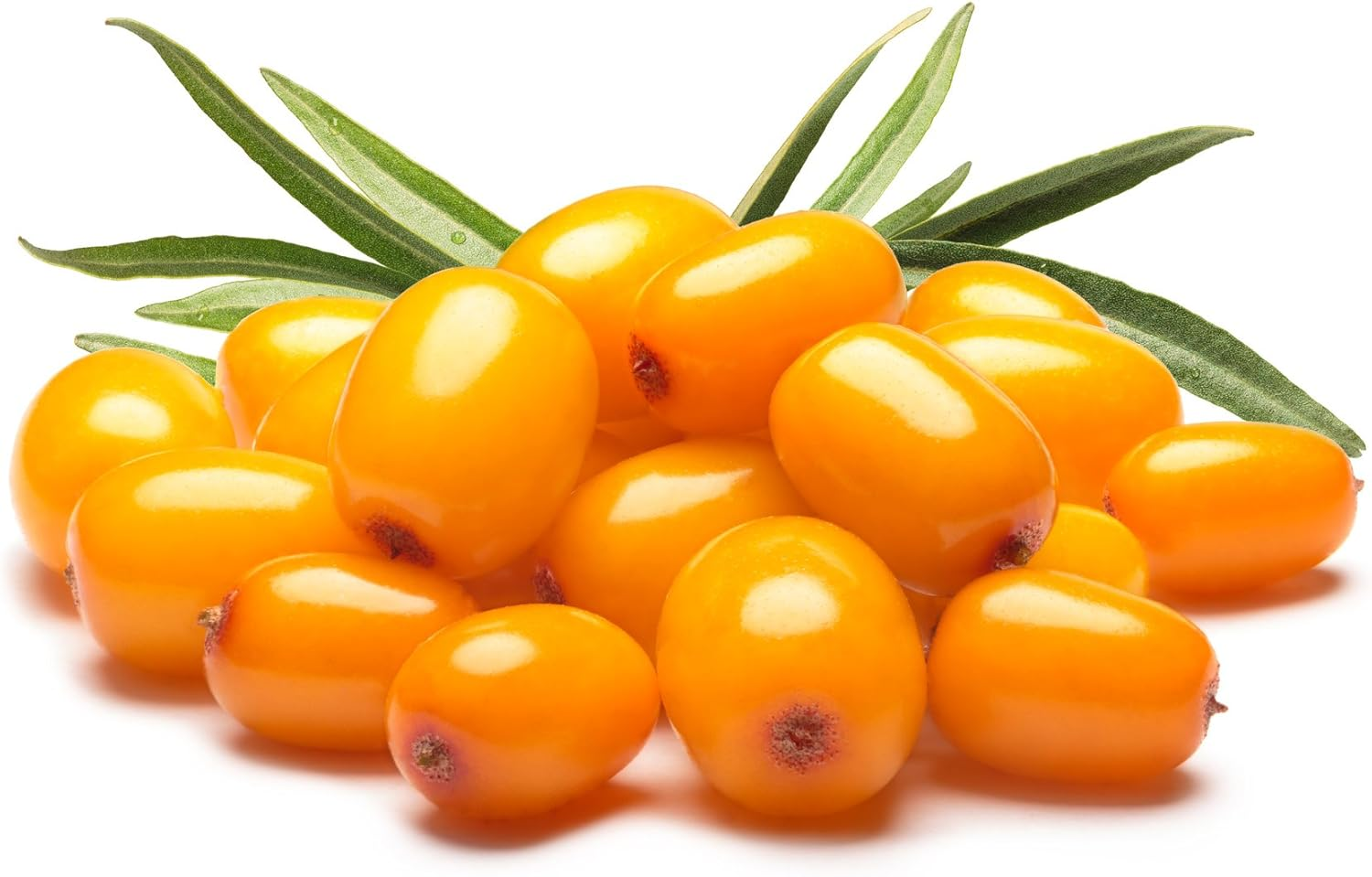 US Organic Sea Buckthorn Berry (Fruit) Oil, USDA Certified Organic,Pure & Natural, Supercritical CO2 Extracted, Virgin, Unrefined in Amber Glass Bottle (1 Oz (30 Ml)) image number 3