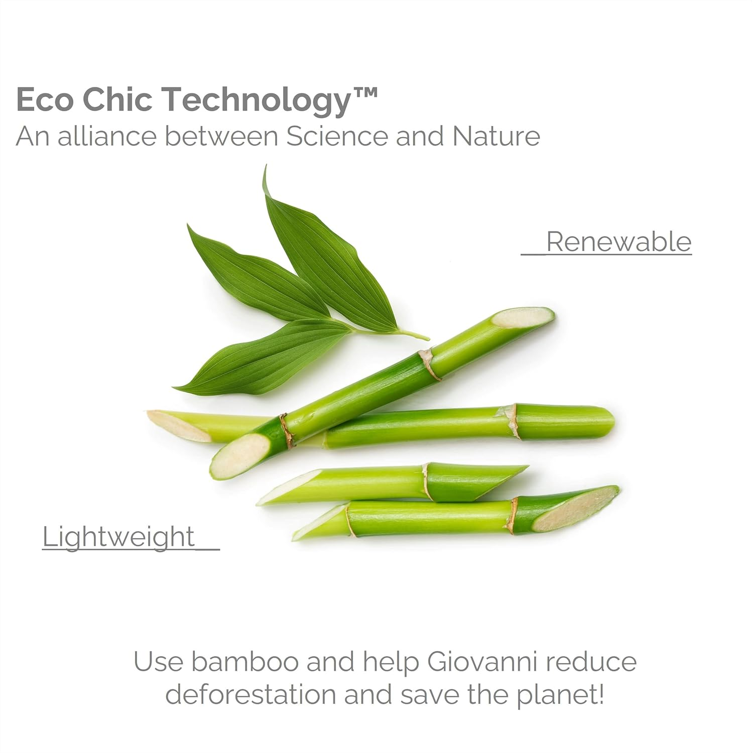 GIOVANNI Oval Hair Brush with Real Bamboo Handle and Base, Bristles Gently Detangle and Smooth Hair, Great for Fine or Thick Hair, Works on Curly or Straight Hair Types, Smoothing Tresses image number 1