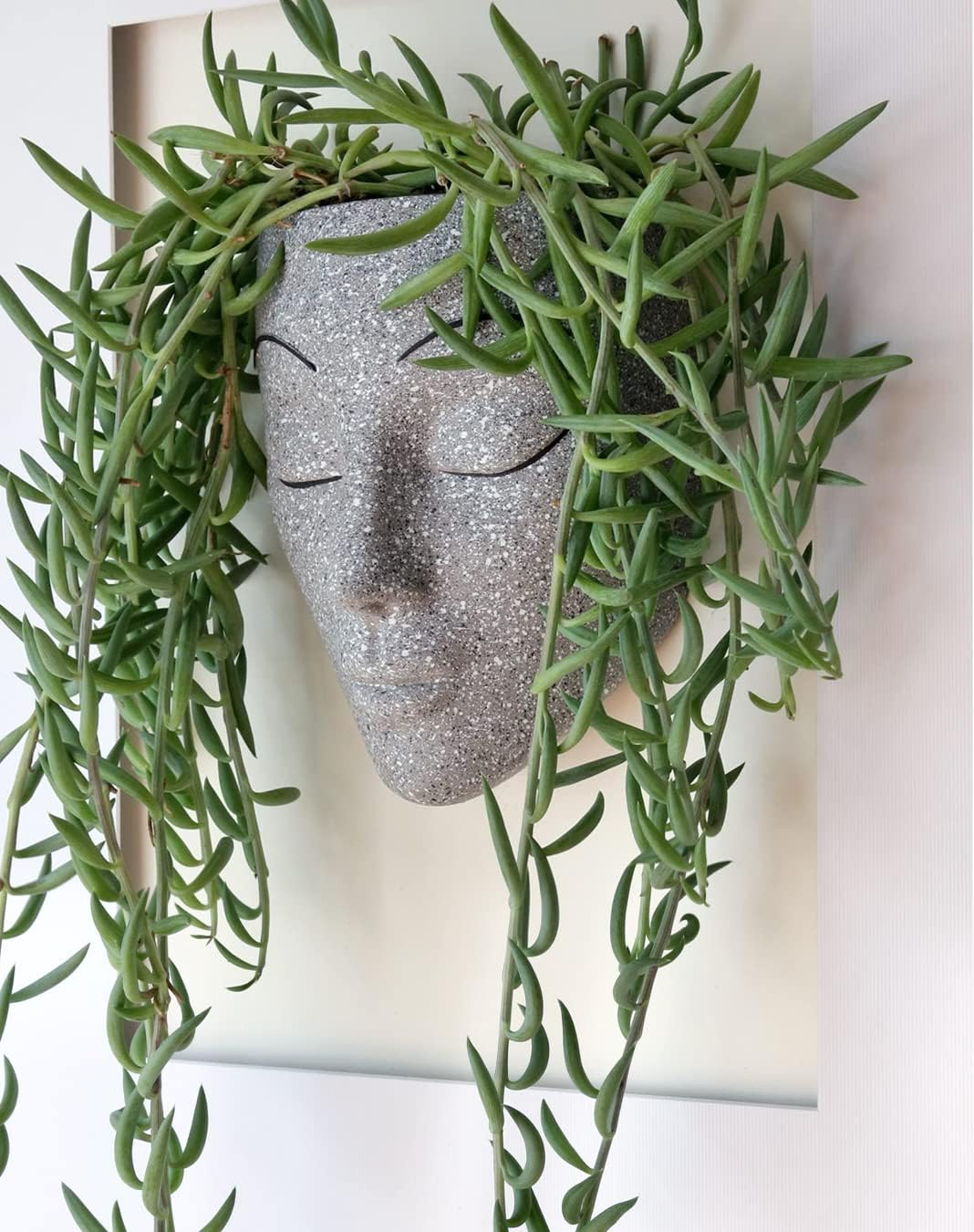 Bossa Linda Wall Planter | 7 Colors Avail | Unique Face Planters Pots Head Planter - Plant Gifts for Indoor Plant Lovers Gift Ideas - Face Planter Gifts for Plant Lovers, Succulent Plant Gift - Beige