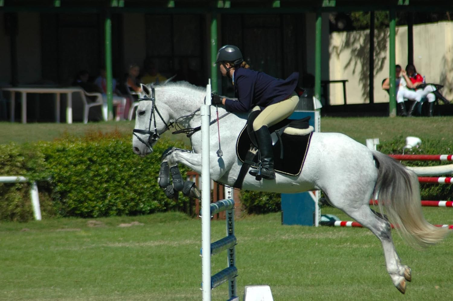 Equine Synergy 'Movin' and Groovin' JOINT COOKIES with TURMERIC for Maintaining Optimal Mobility image number 5