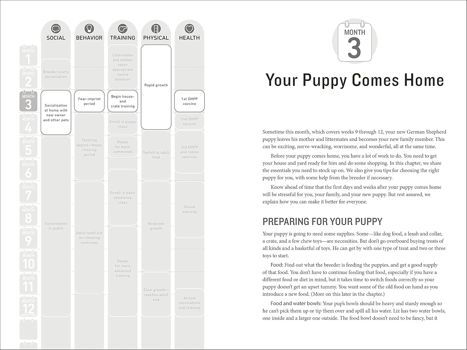 Your German Shepherd Puppy: Month by Month, 2Nd Edition: Everything You Need to Know at Each State to Ensure Your Cute and Playful Puppy image number 6