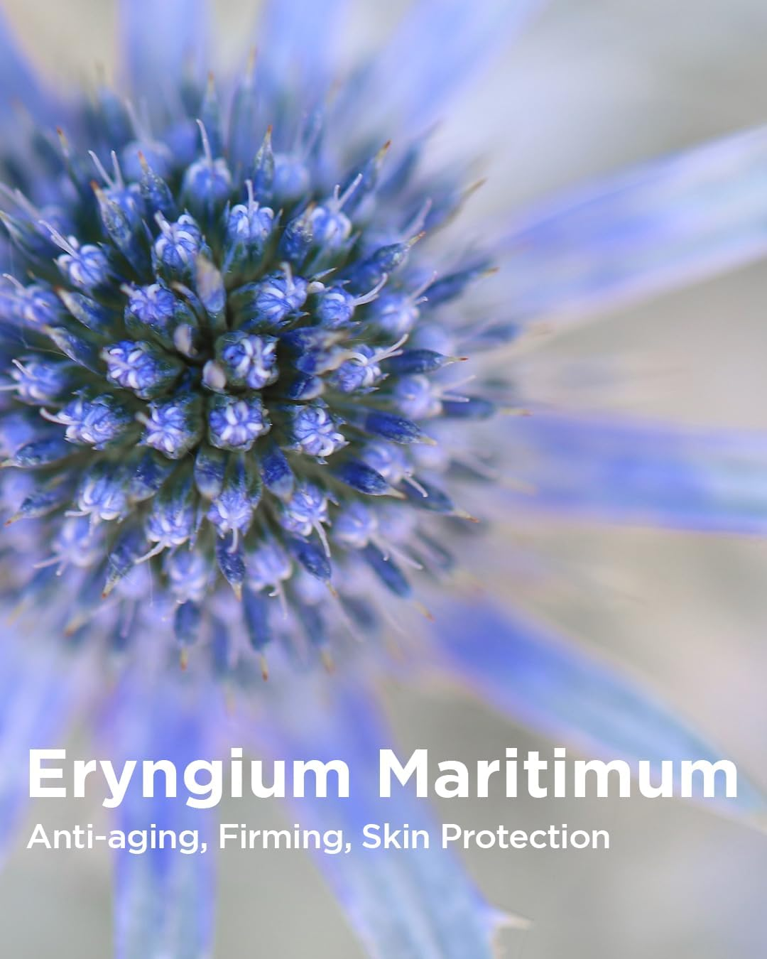 THESAEM Facial Soft Peeling Gel - Natural AHA+BHA Korean Enzyme Exfoliating Scrub for Dead Skin Cells, Face Exfoliator, Skin Turnover, Cell Renew Bio Micro Peel Soft Gel, 5.41 Fl.Oz. image number 2