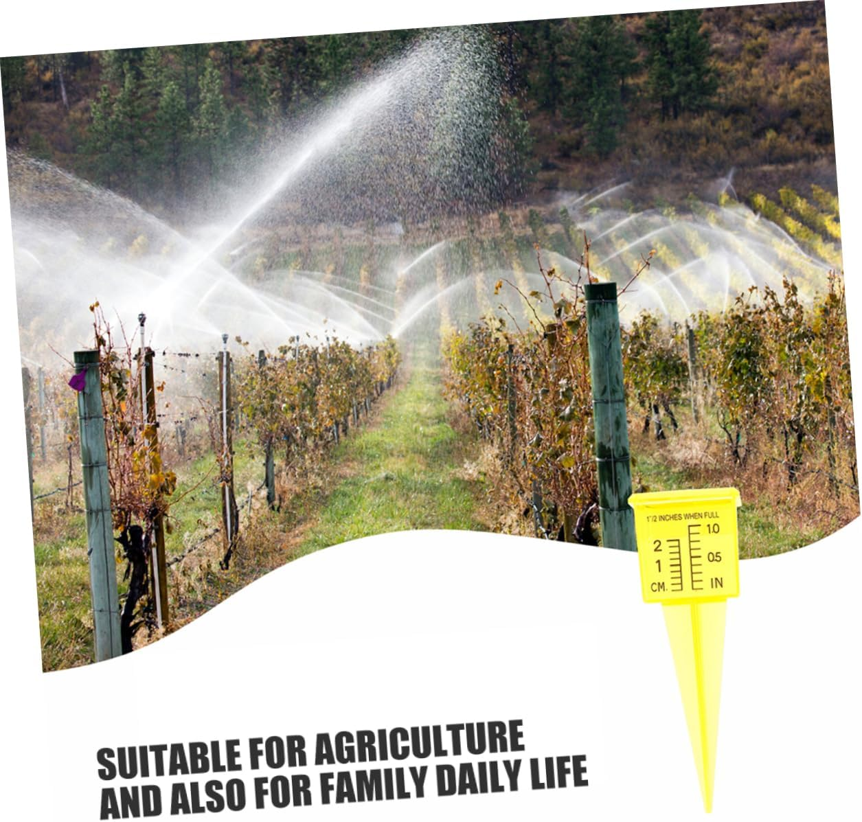 SEWOART Rain Gauges Outdoors Sprinkler Cups 5 Pack Rain Measure Gauge for Yard Garden Water Gauge image number 3