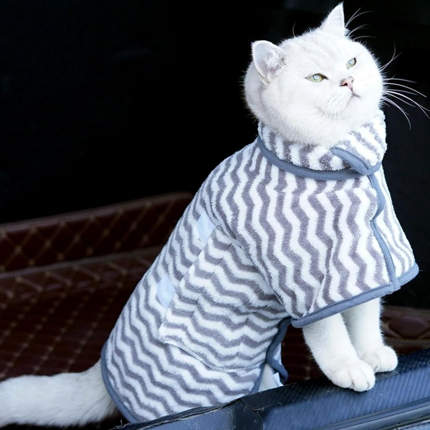 Dog Bathrobe Coat, Super Absorbent Dog Bath Towel, Microfibre Pet Bathrobe for Small, Medium Dogs, Adjustable Dog Towel for Pets, Puppies, Bath, Swimming, Grooming (Grey, M) image number 3