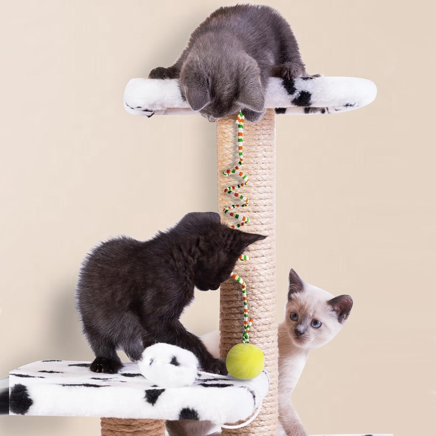 Andiker Cat Spring Toy, Self-Play Stretchy Door Hanging Cat Toy with Bell, Soft Plush Ball with Spring Kitten Toy for Exercise (Green + Purple) image number 5