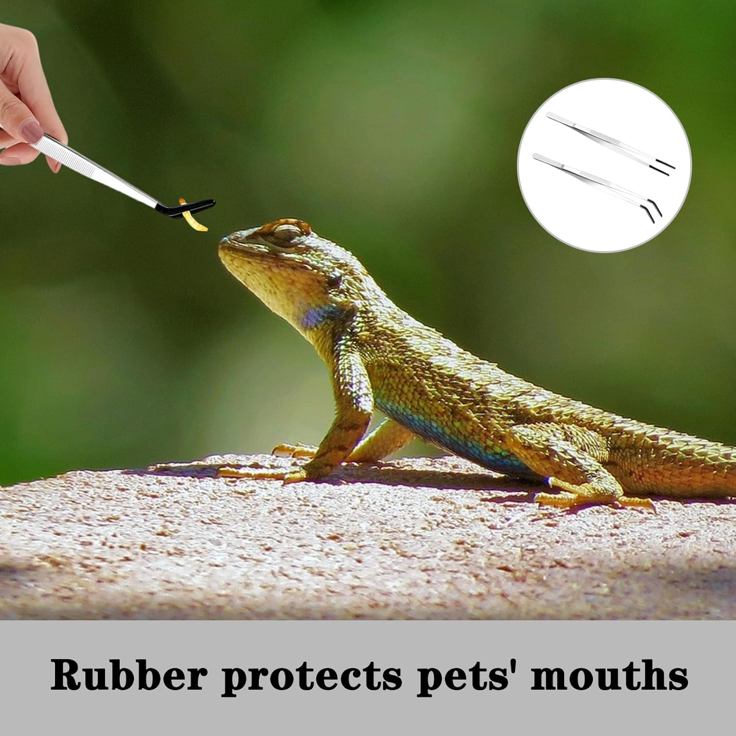 2 Pcs Long Handle Aquarium Tweezers, Stainless Steel Tweezer, Reptile Accessories, Serving Tongs, Reptile Feeding Tongs with Rubber for Lizard, Gecko, Ideal for Fish Tank Plant Aquascape image number 5