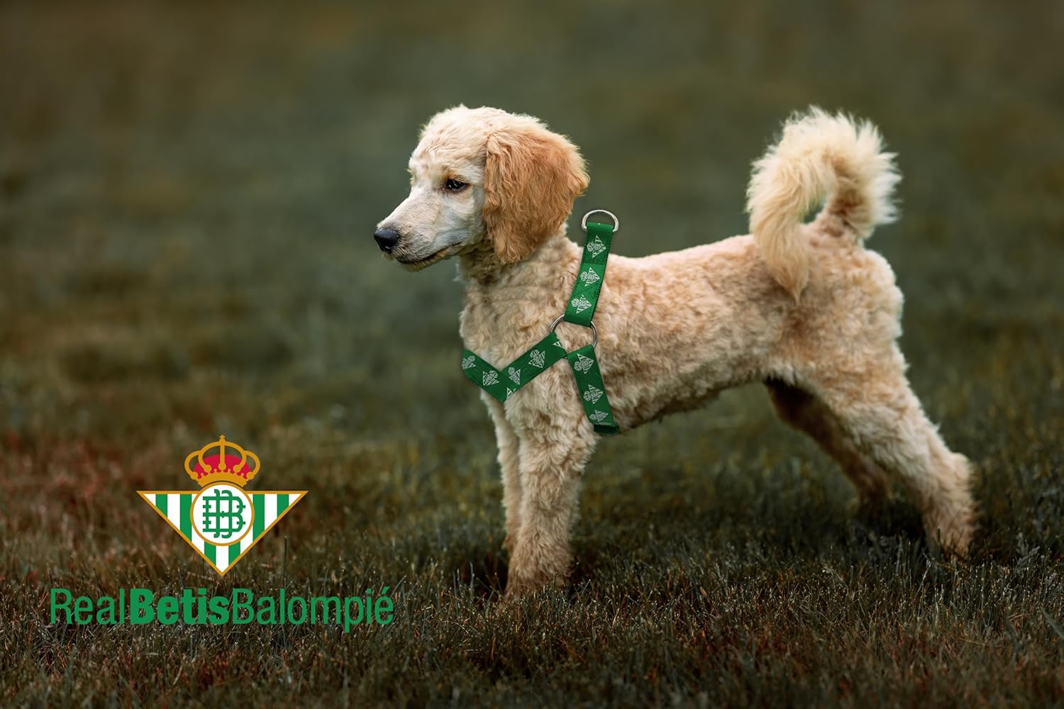 Betis Linea Mascotas Dog Harness Large image number 1