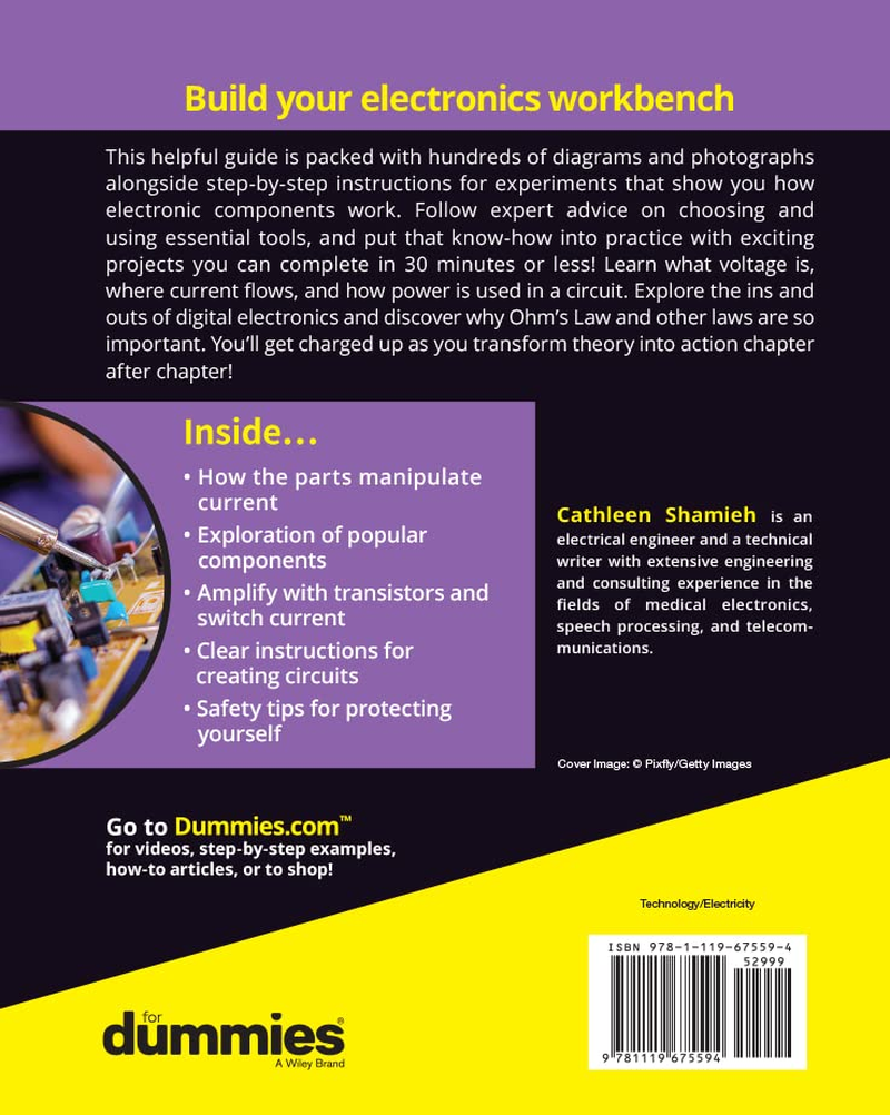 Electronics for Dummies image number 1