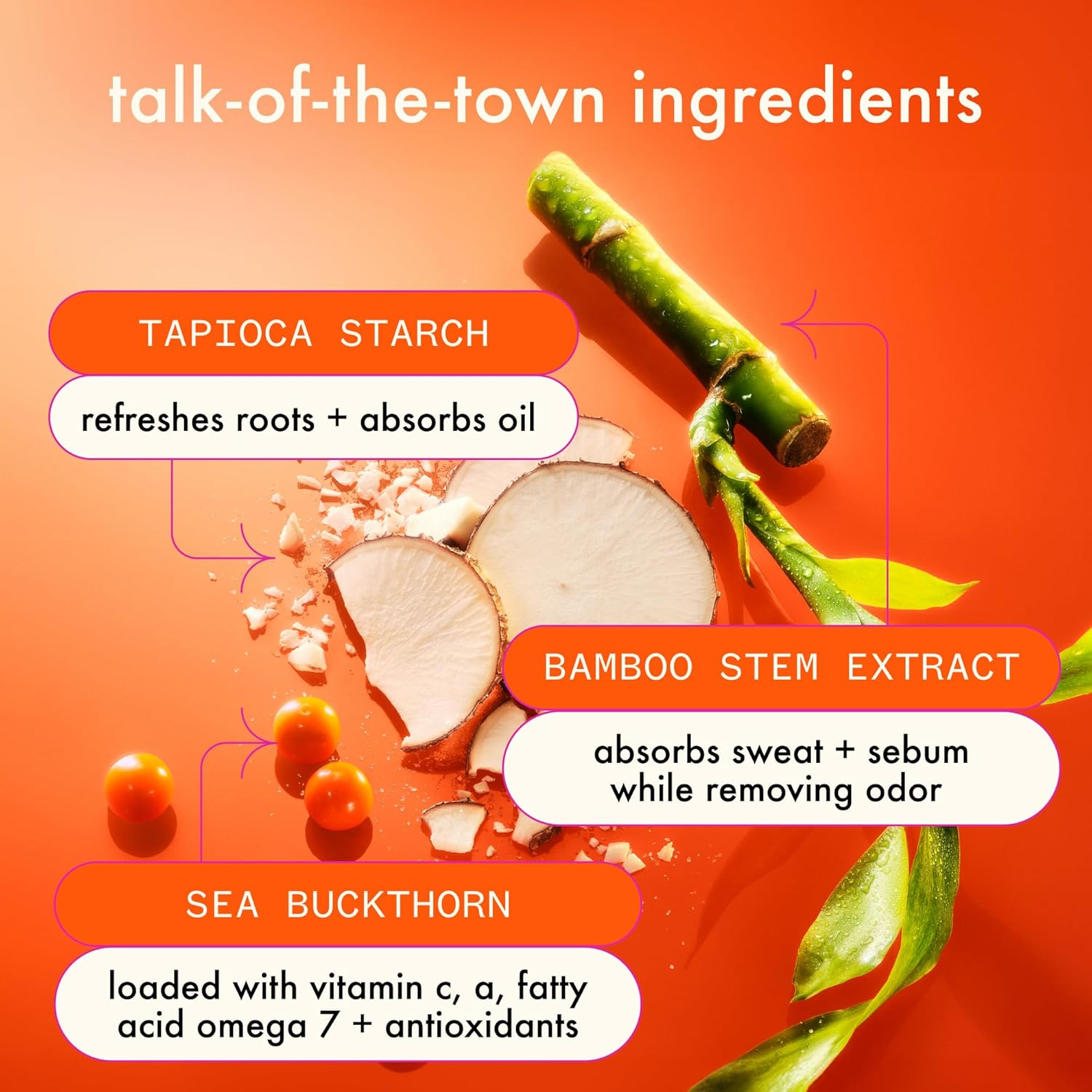 Amika Perk up Oil Control Dry Shampoo &ndash; Refreshes Oily Hair between Washes &ndash; Vegan Dry Cleanser with Tapioca Starch + Bamboo Extract &ndash; 250Ml image number 4