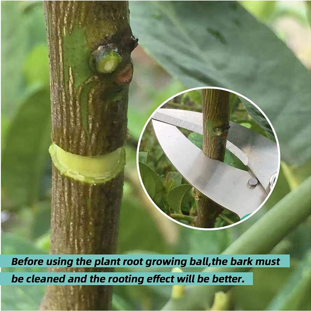 Plant Root Growing Box, Reusable Plant Rooting Device Plant Rooting Grow Box High Pressure Propagation Ball Grafting Device Botany Root Controller (Medium（3.1&Prime;&times;6Pcs）, Transparent) image number 1