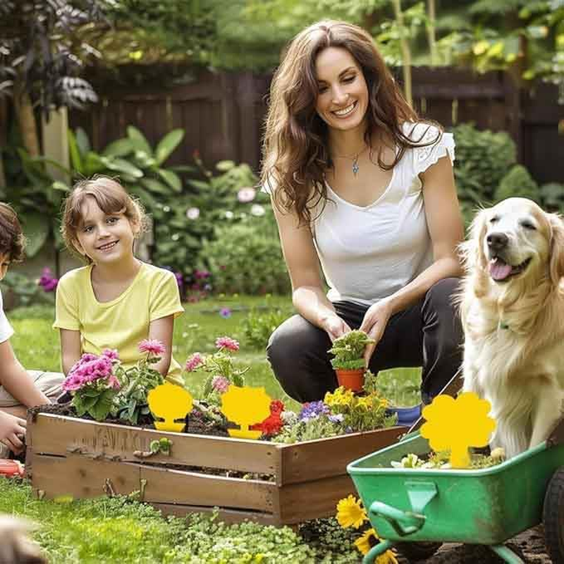 60 Pieces Fruit Fly Sticky Trap | Portable Insect Traps for Mosquitoes, Flies, Moths | Waterproof Disposable Fly Sticker for Plants | Outdoor Indoor Use