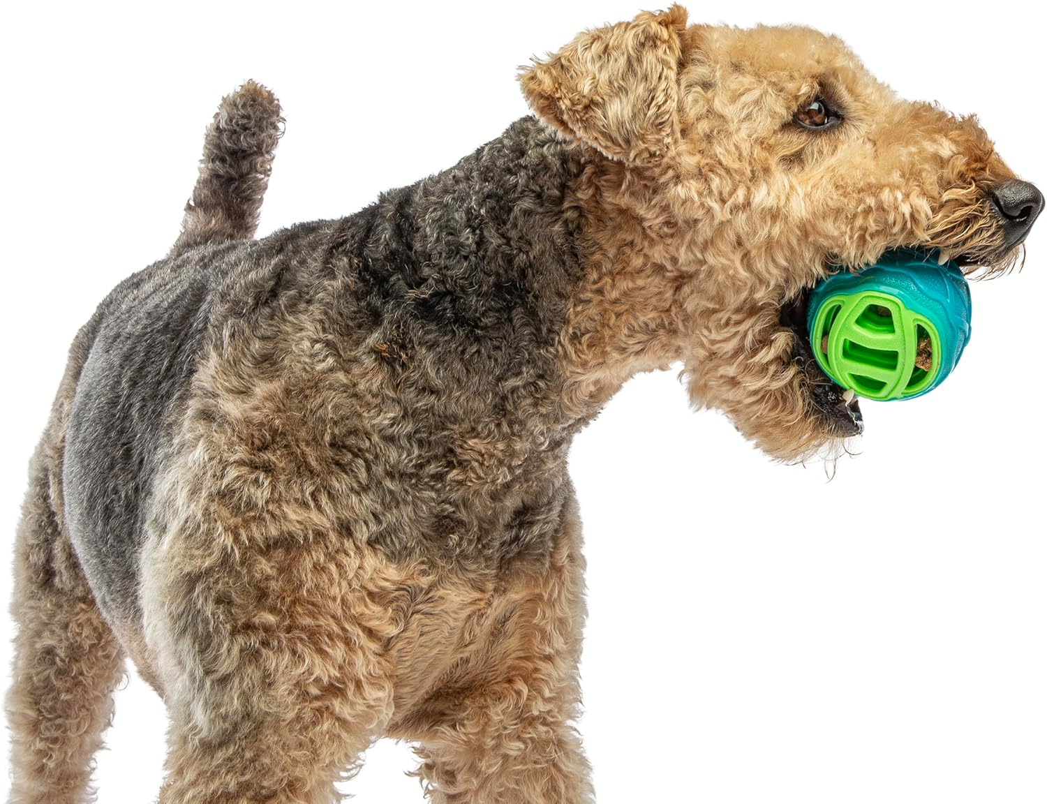 GURU Pocket Ball Medium/Large 9.5X9.5X9.5Cm image number 2