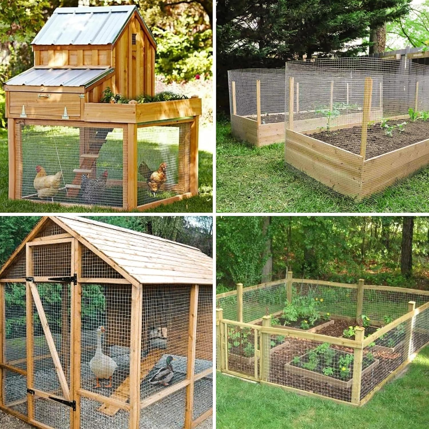 Hardware Cloth 1/2Inch 20Inx15Ft 19 Gauge,Double-Layer Hot-Dip Galvanizing after Welding,Chicken Wire Netting Garden Wire Fencing Rabbit Snake Fence Chicken Coop Plant Supports image number 5