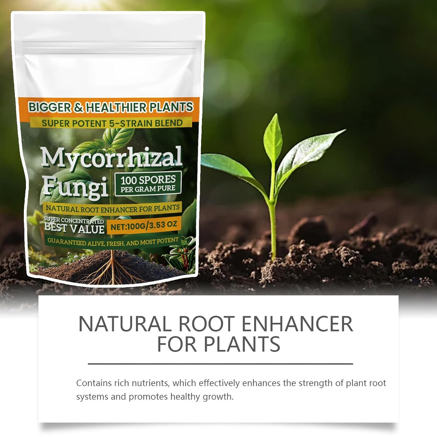 Plant Growth Enhancer - Fertilizer Nutrient Powder, 100G Balanced Formula, Planting Tool Accessory, Soil Culture, Mixed Culture Garden, Agriculture Gardening Supplies for Growth Indoor Outdoor Plant image number 1