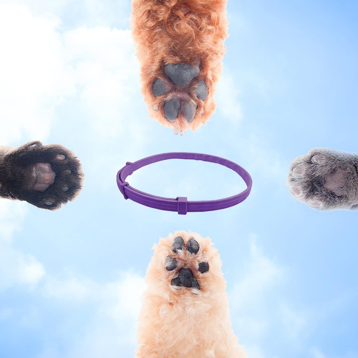 AIMALL Adjustable Anti-Anxiety Calming Collars for Cats and Dogs, 3/4 Pack, 27.55In for Dogs and 14.96In for Cats, Natural Anxiety Relief, 4-Week Effectiveness