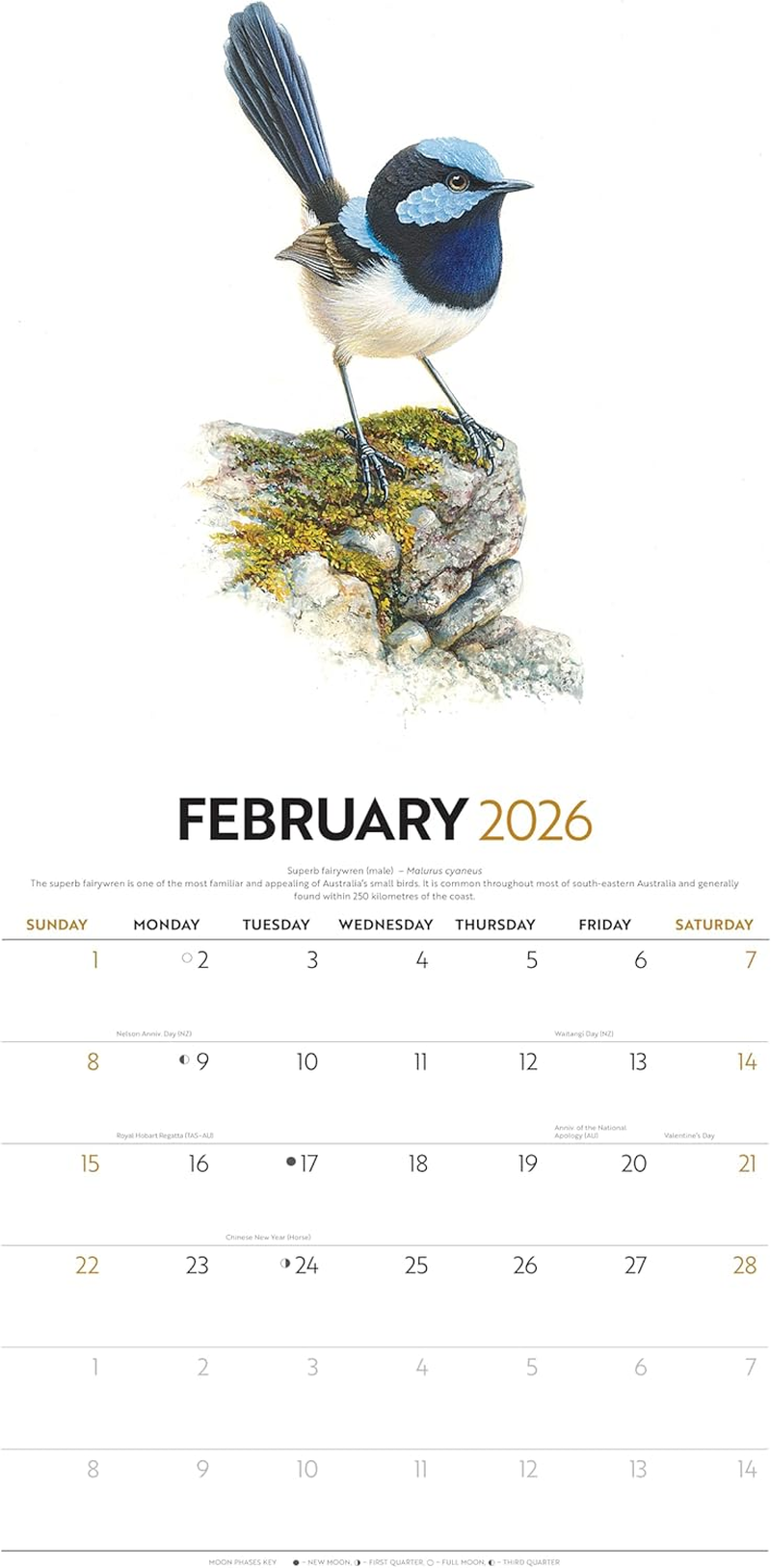 Birds of Australia | the Art of Jeremy Boot | 2026 12 X 24 Inch (Hanging) Monthly Square Wall Calendar | Foil Stamped Cover | Plastic-Free | Browntrout | Animals Ornithology Wildlife image number 2