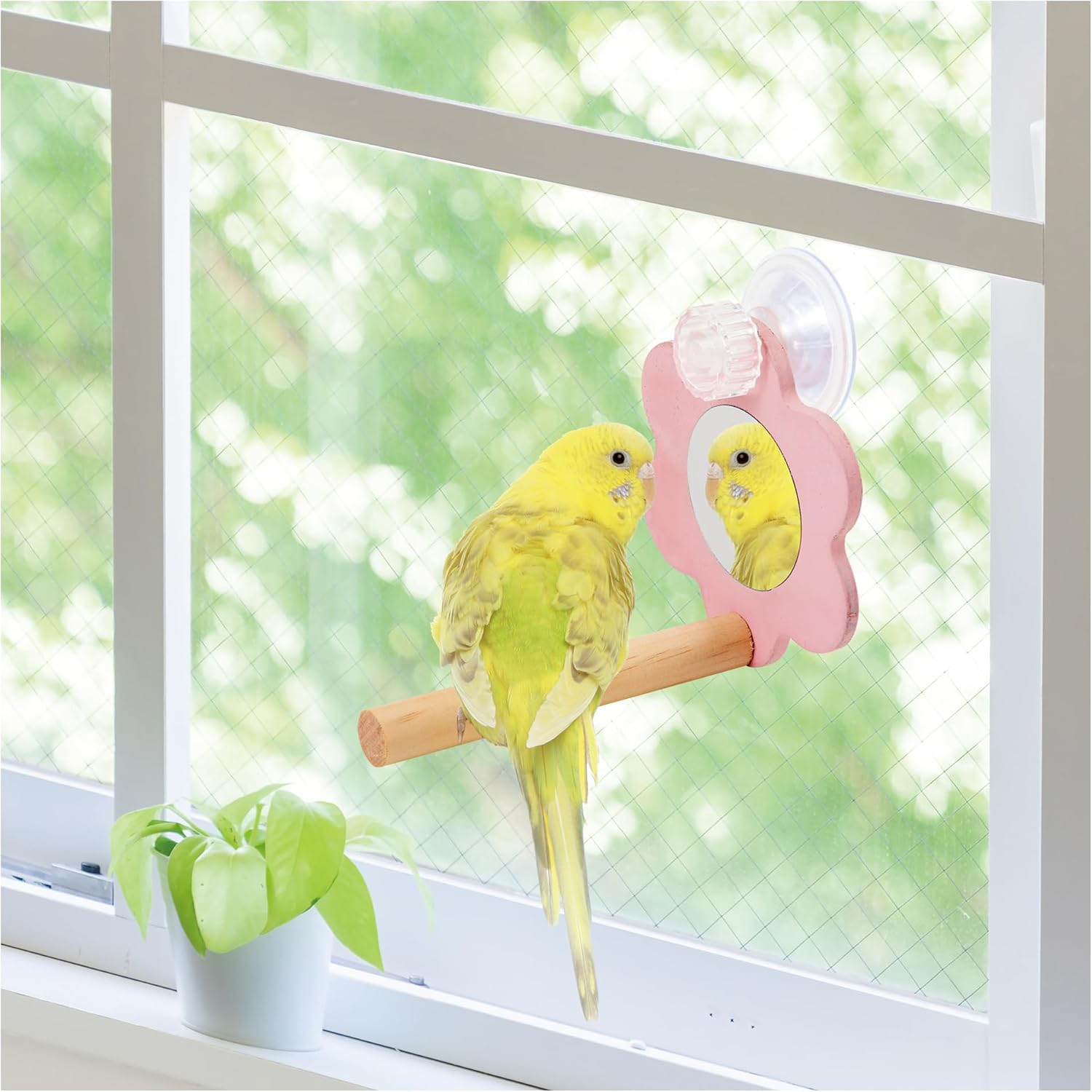 Minimalland Bird Carnival Anywhere Perch Mirror image number 6