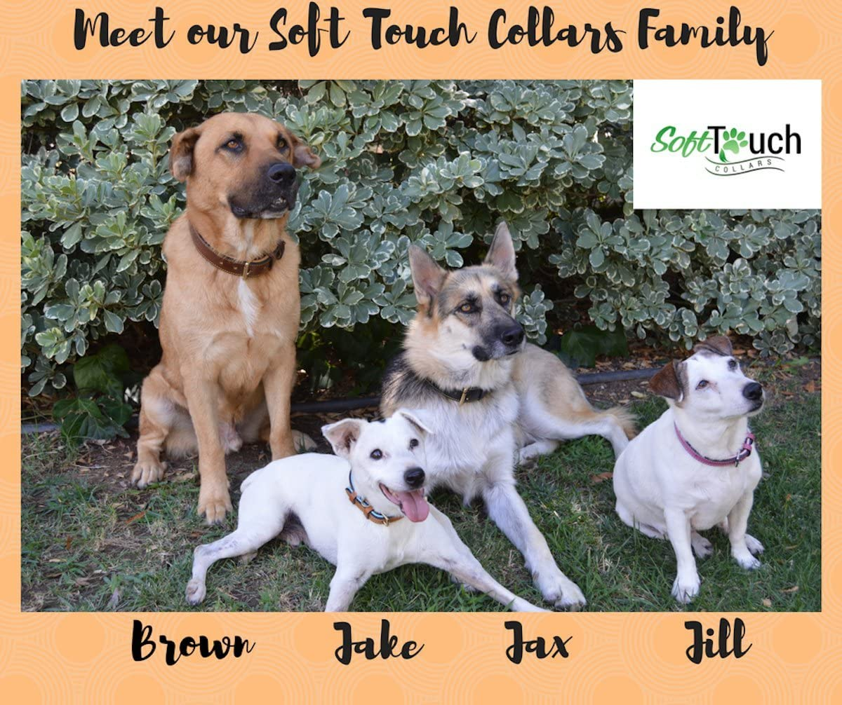 Soft Touch Collars Padded Leather Dog Collar, Large Brown - Genuine Real Leather, 24" Long X 1.5 Wide, Fits Neck Size 18" to 21" Inches image number 1