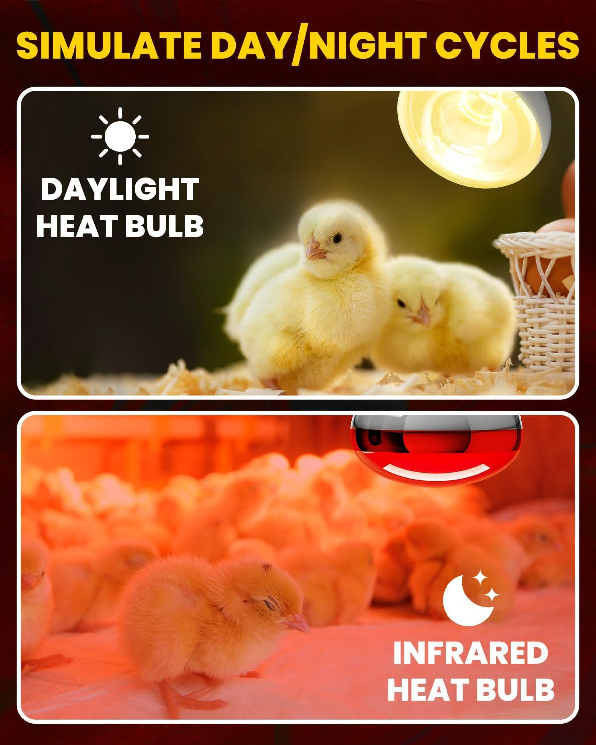 Glowup 250 W Heat Bulbs E27 Set - 1 X Infrared Red Light Lamp Heat Lamp + 1 X Daylight Heating Bulb for Chicken Coop Heating, Rabbits, Puppies, Piglets, Lambs, Kittens, Reptiles image number 5