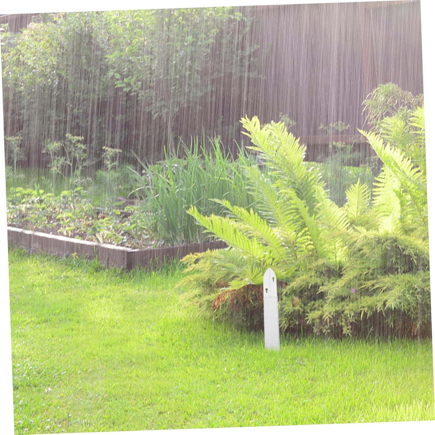 Plastic Rain Gauge Container with Graduated Scale for Outdoor Rainwater Measurement Practical Rain Gauge Device for Garden Lawn Precipitation Collection and Rate Calculation image number 4