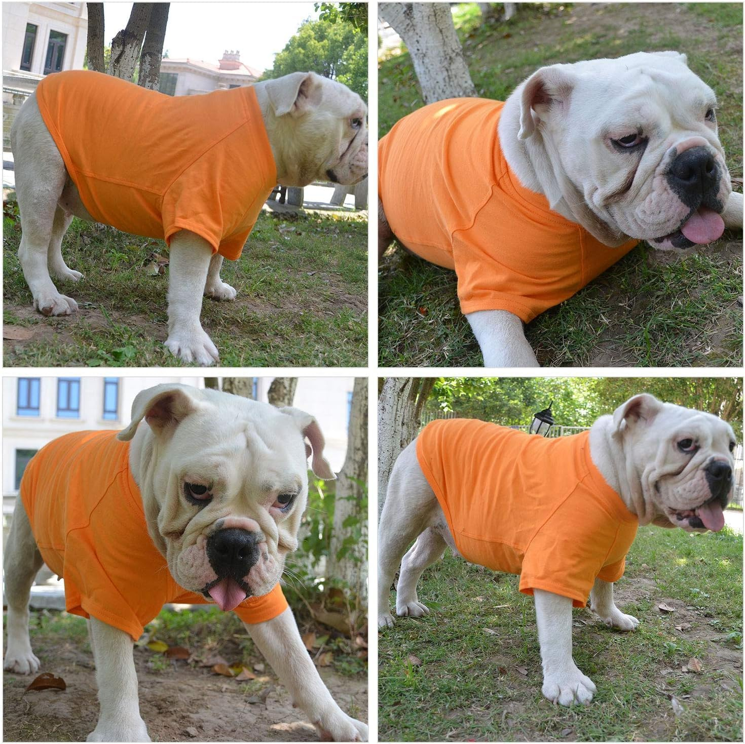 Lovelonglong Bulldog Clothes Dog Clothing Blank T-Shirt Tee Shirts for French Bulldog English Bulldog American Pit Bull Pugs 100% Cotton Skin Care Orange B-M image number 1