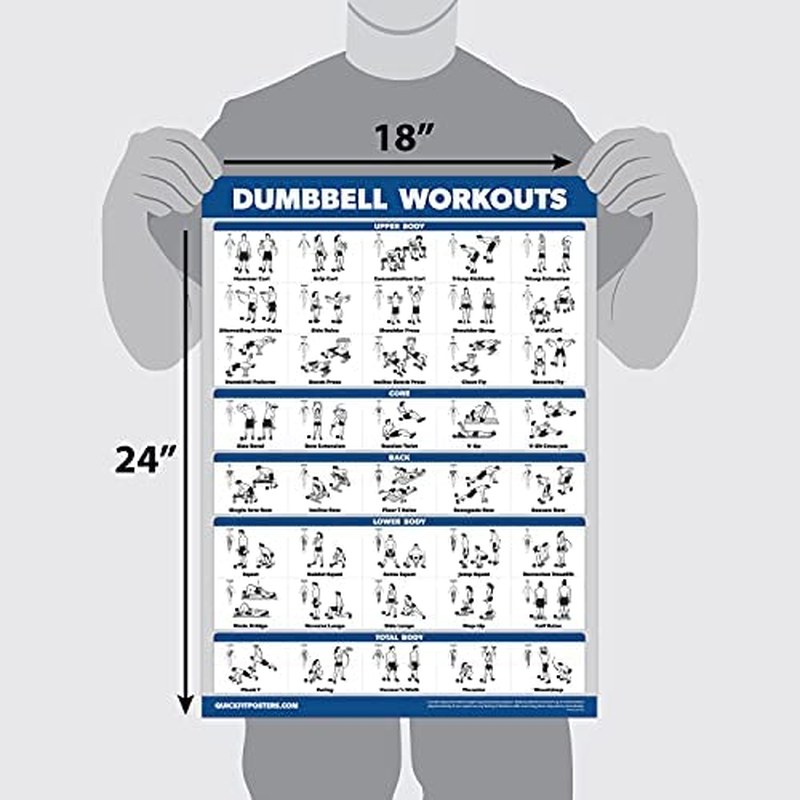 Quickfit Dumbbell Workouts and Barbell Exercise Poster Set - Laminated 2 Chart Set - Dumbbell Exercise Routine & Barbell Workouts